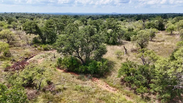 a view of a garden with a building in the background