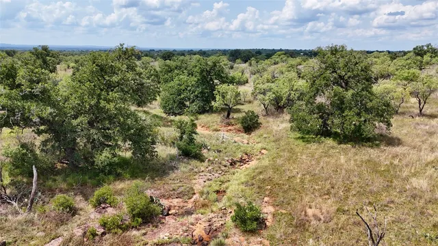 a view of a forest with a street