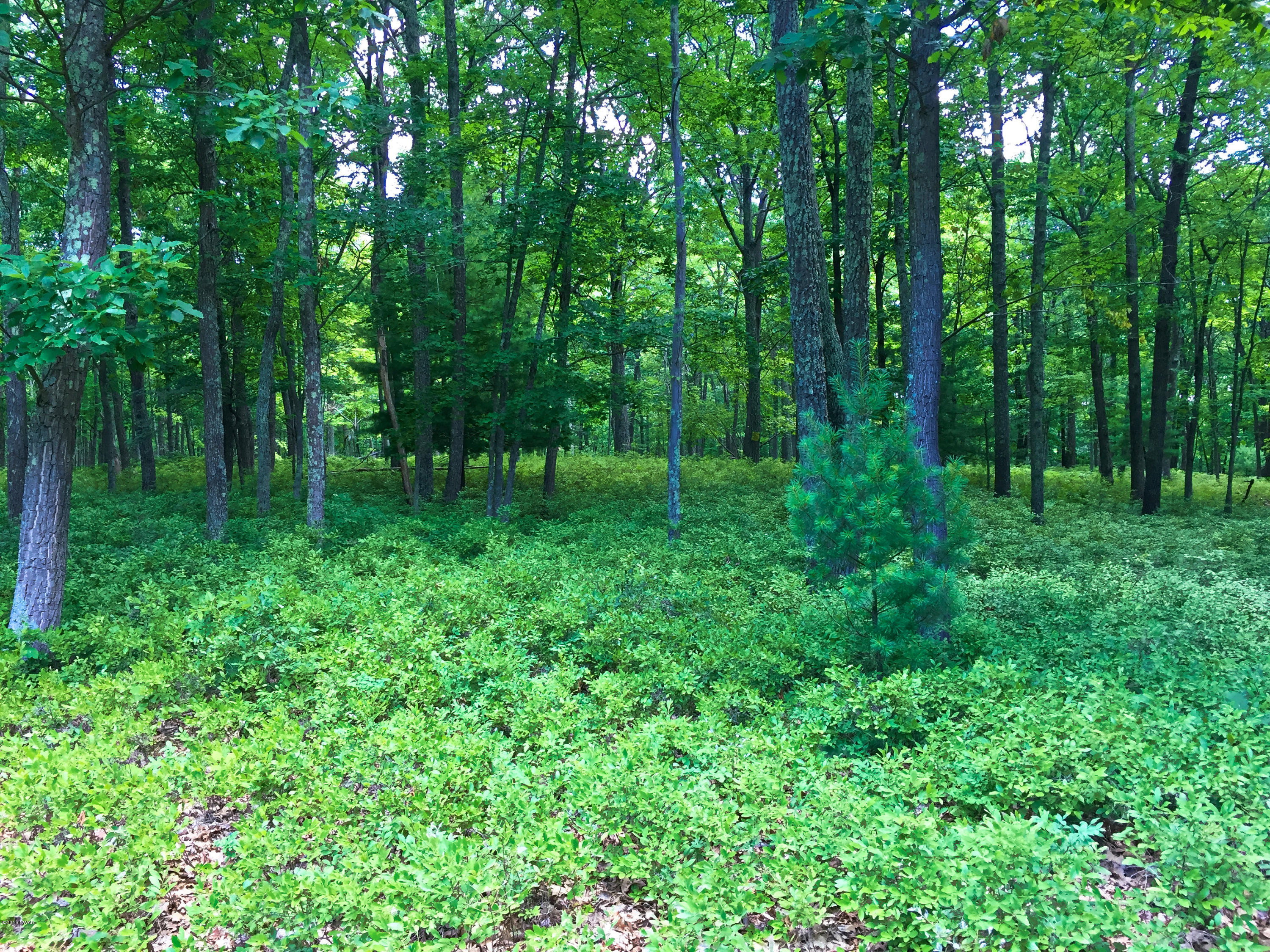 120 Stone Ridge Lane Milford, PA 18337 - Photo 28 of 33