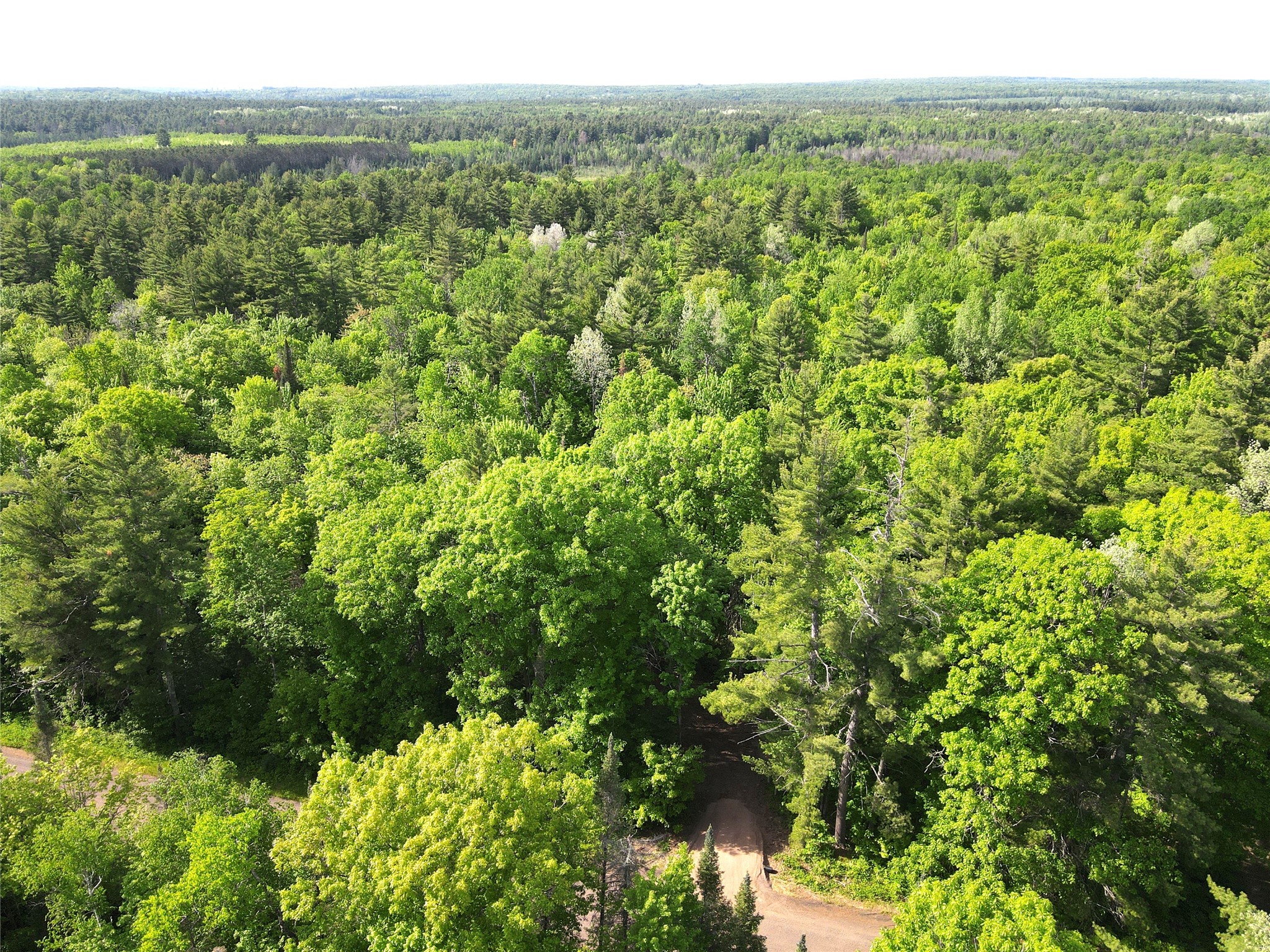 Tbd North Smith Road Couderay, WI 54828 - Photo 15 of 22
