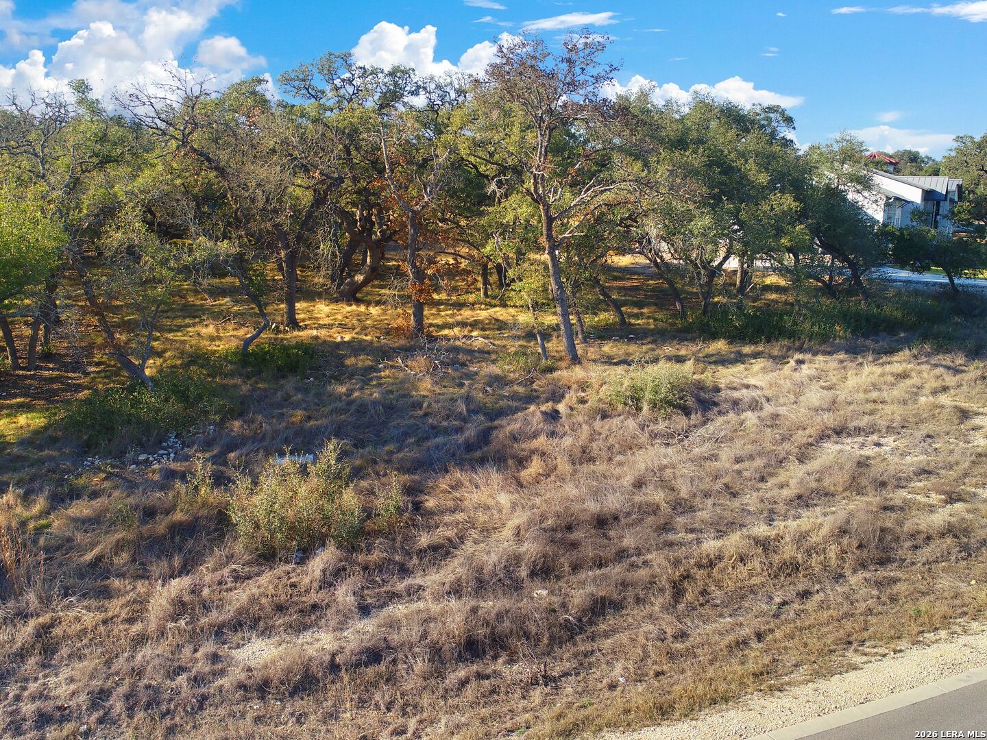 942 Maximino Rdg Road Bulverde, TX 78163 - Photo 5 of 13 a view of a yard with a tree