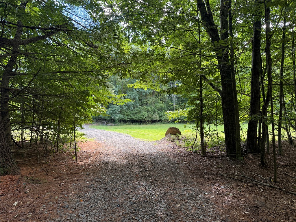 334 Lulu Coon Road Butternuts, NY 13849 - Photo 23 of 41 Gallery Image 23