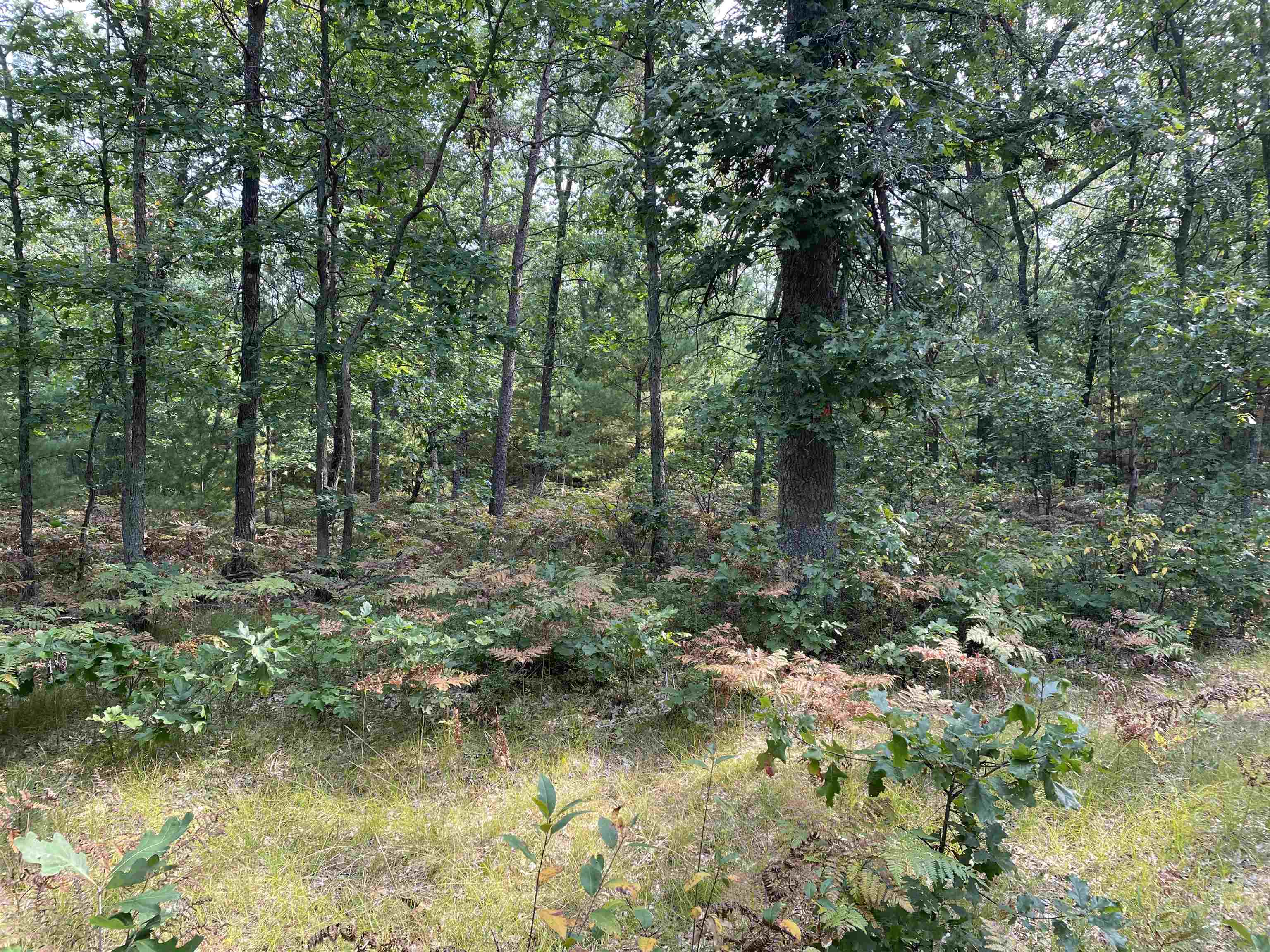 0 Koenig Road, Unit FREESOIL TOWNSHIP Free Soil, MI 49411 - Photo 1 of 11