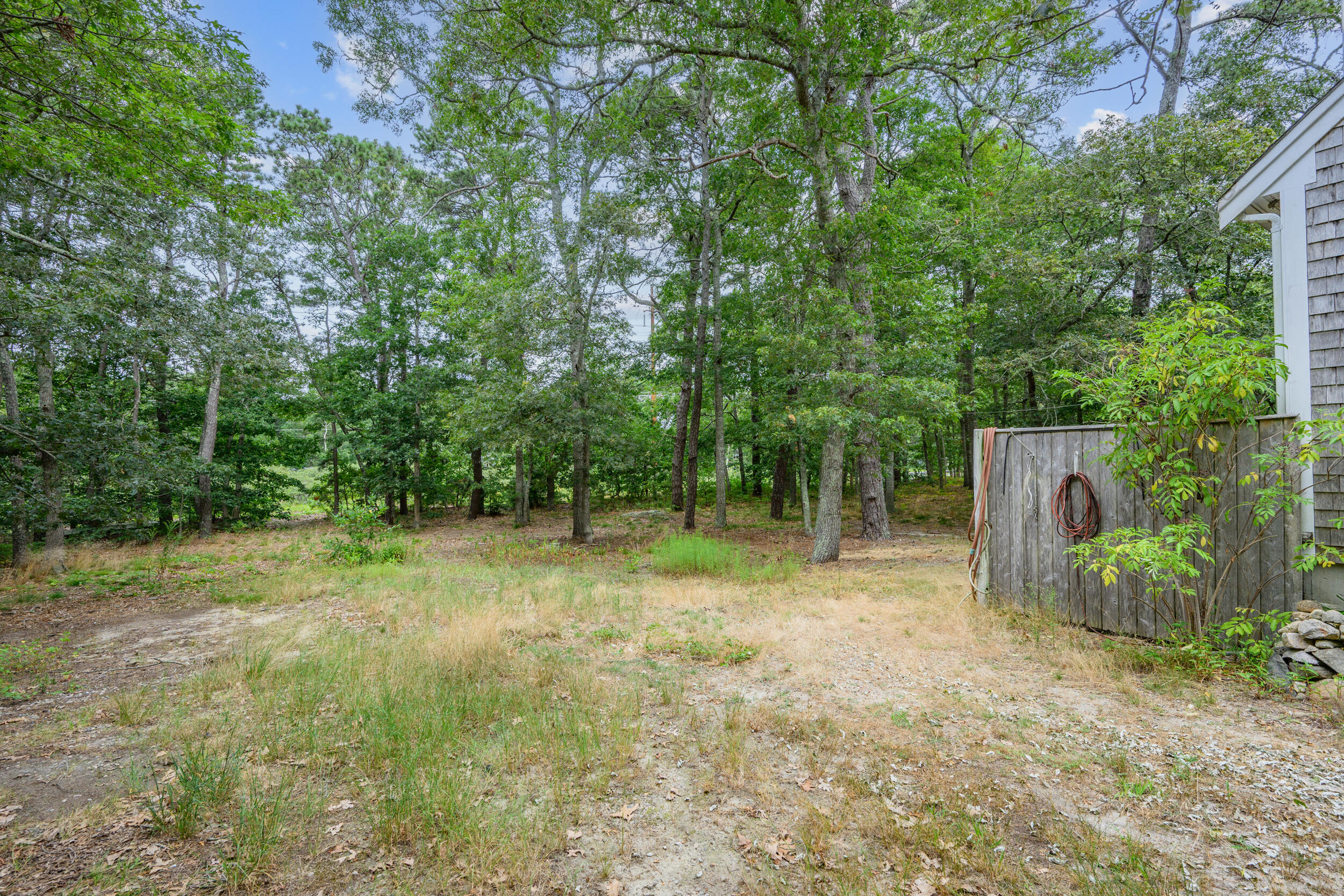 153 Red Fawn Road Brewster, MA 02631 - Photo 25 of 28 a backyard of a house with lots of green space