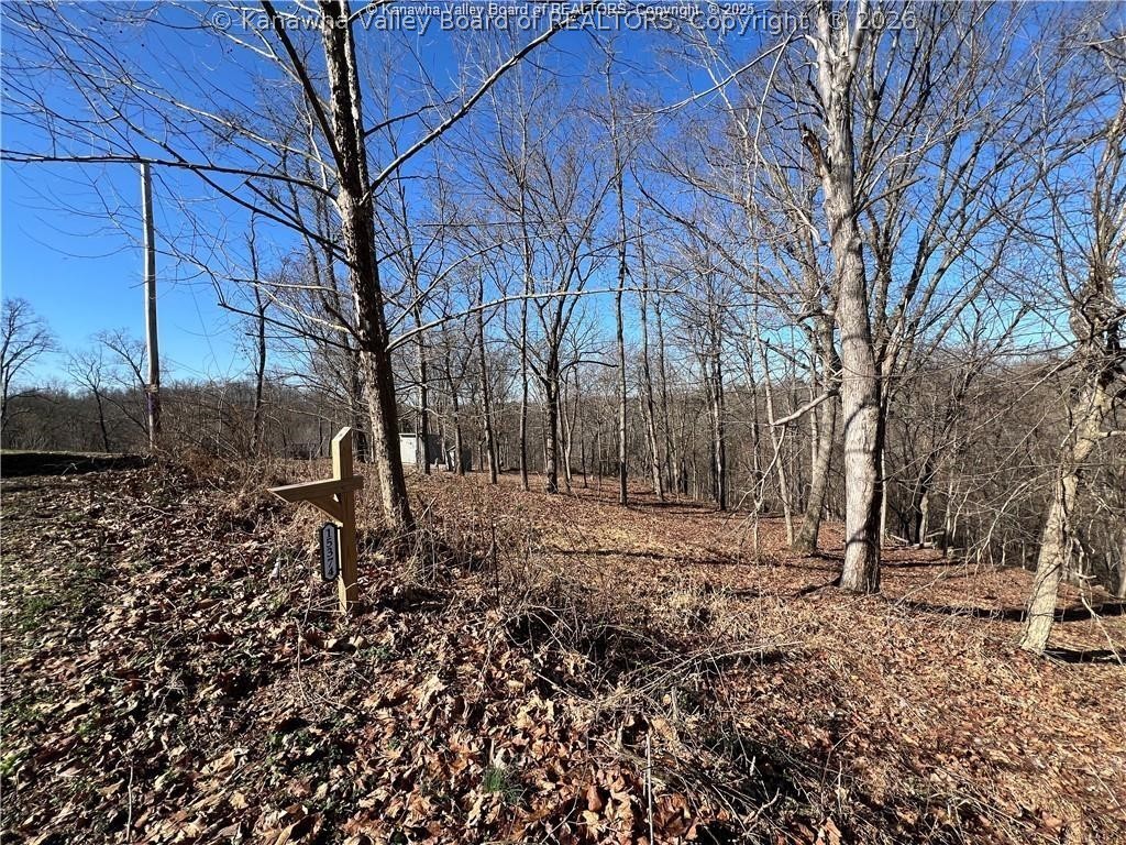 15374 Redmond Ridge Road Gallipolis Ferry, WV 25515 - Photo 8 of 16 Gallery Image 8