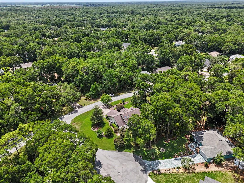 9726 Southwest 192nd Court Road Dunnellon, FL 34432 - Photo 54 of 82