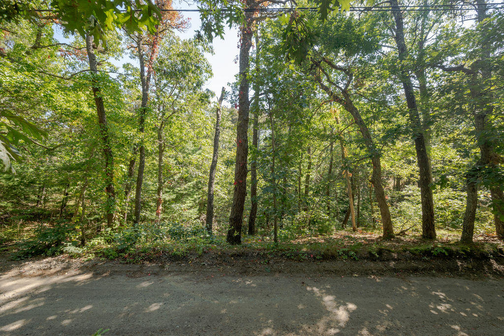 40 Old Long Pond Road Wellfleet, MA 02667 - Photo 7 of 13 40_Old_Long_Pond1-14
