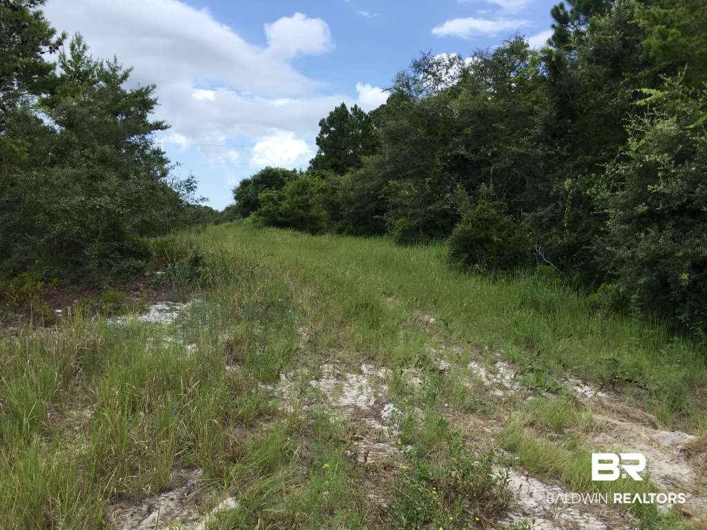9543 Ft Morgan Road Gulf Shores, AL 36542 - Photo 8 of 28