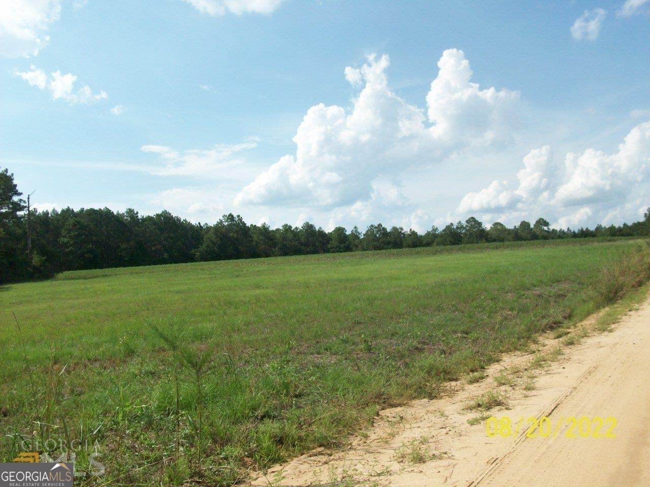 650 Tom Howard Farm Road Vienna, GA 31092 - Photo 6 of 13 a view of a lake