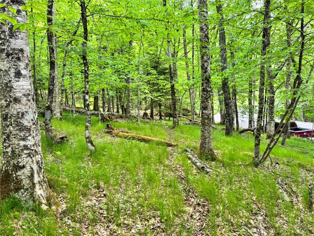 146 Hornbeam Road Beech Mountain, NC 28604 - Photo 6 of 14