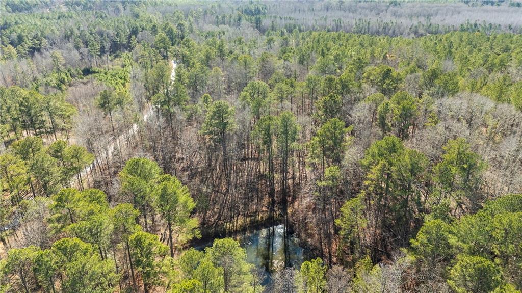 0 Pace Road Fairburn, GA 30213 - Photo 3 of 8 Gallery Image 3