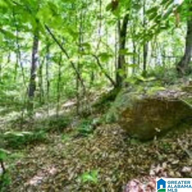 0 Highway 22 Roanoke, AL 36274 - Photo 2 of 5