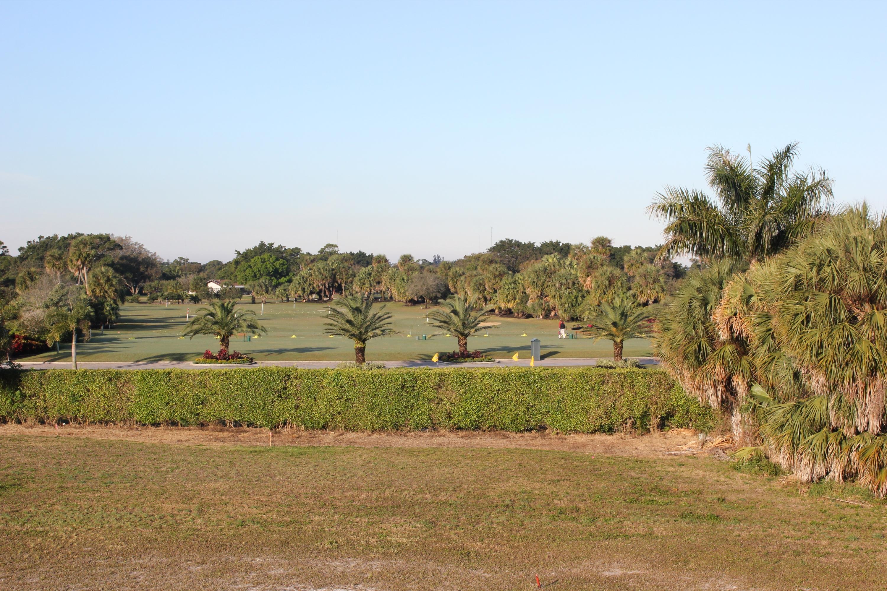 331 Orange Tree Drive Atlantis, FL 33462 - Photo 3 of 6 a view of a yard