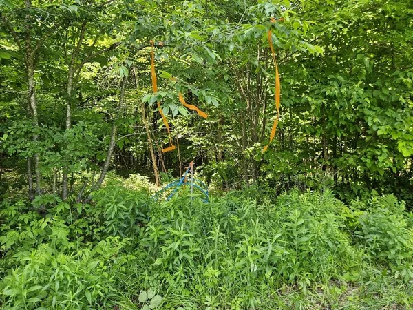 $299,000 | 645 Kimball Pond, New Sharon, ME 04955