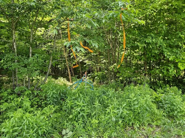 $299,000 | 645 Kimball Pond, New Sharon, ME 04955