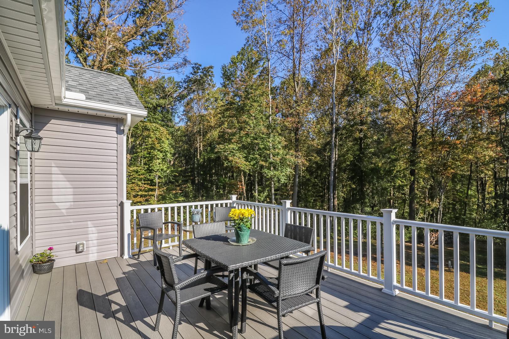 529 Bailiff Road North East, MD 21901 - Photo 33 of 37 LARGE COMPOSITE DECK WITH VINYL RAILING
