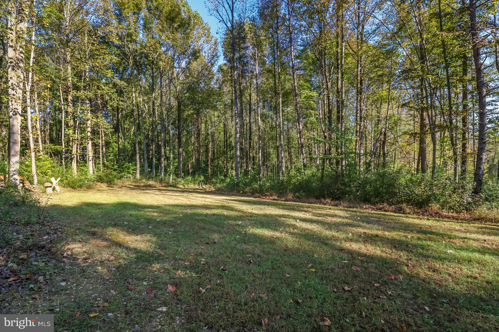 529 Bailiff Road North East, MD 21901 - Photo 35 of 37 SECLUDED PROPERTY W/ INVISIBLE FENCE