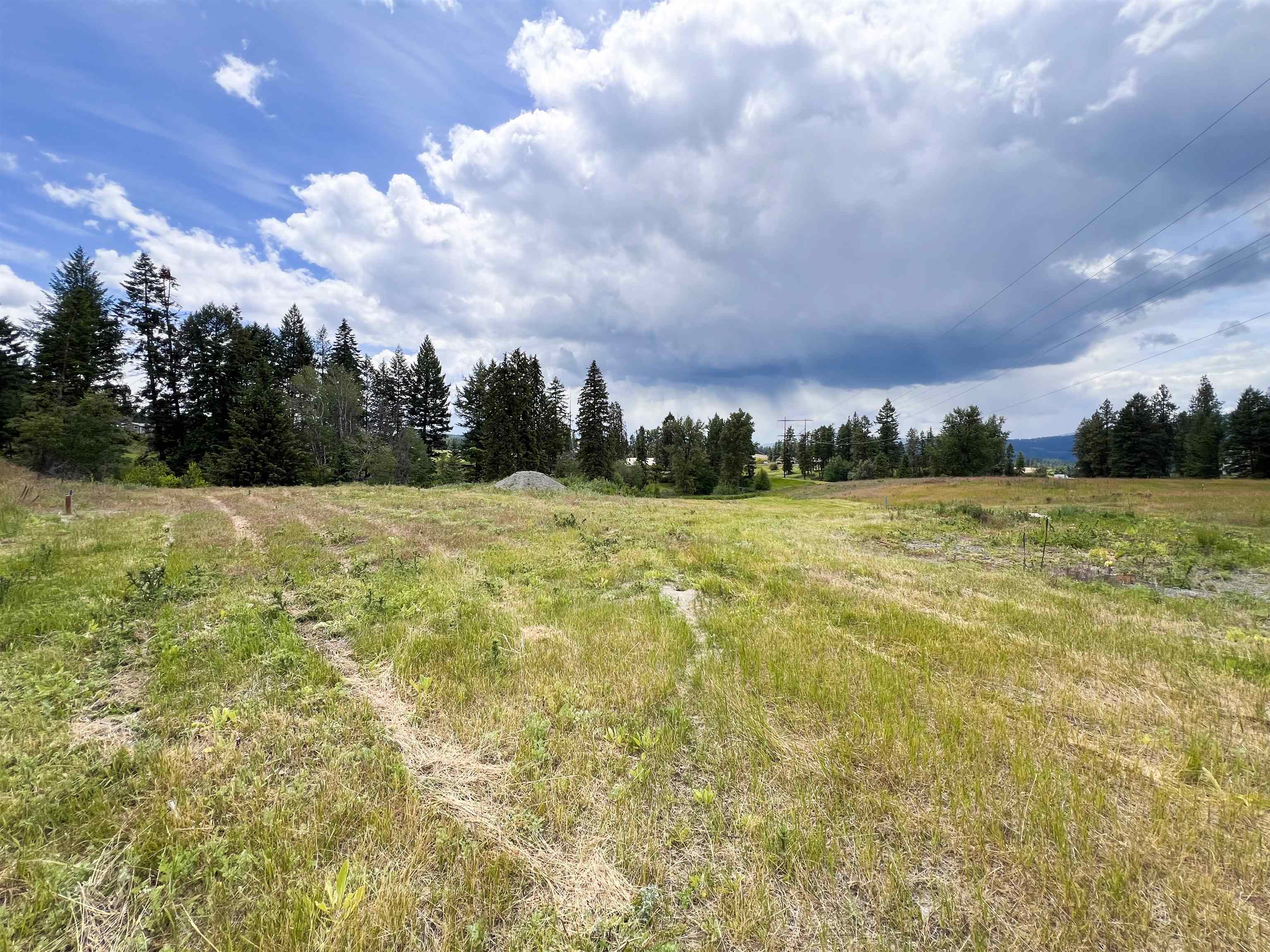 2082 Whitetail Way Colville, WA 99114 - Photo 15 of 18