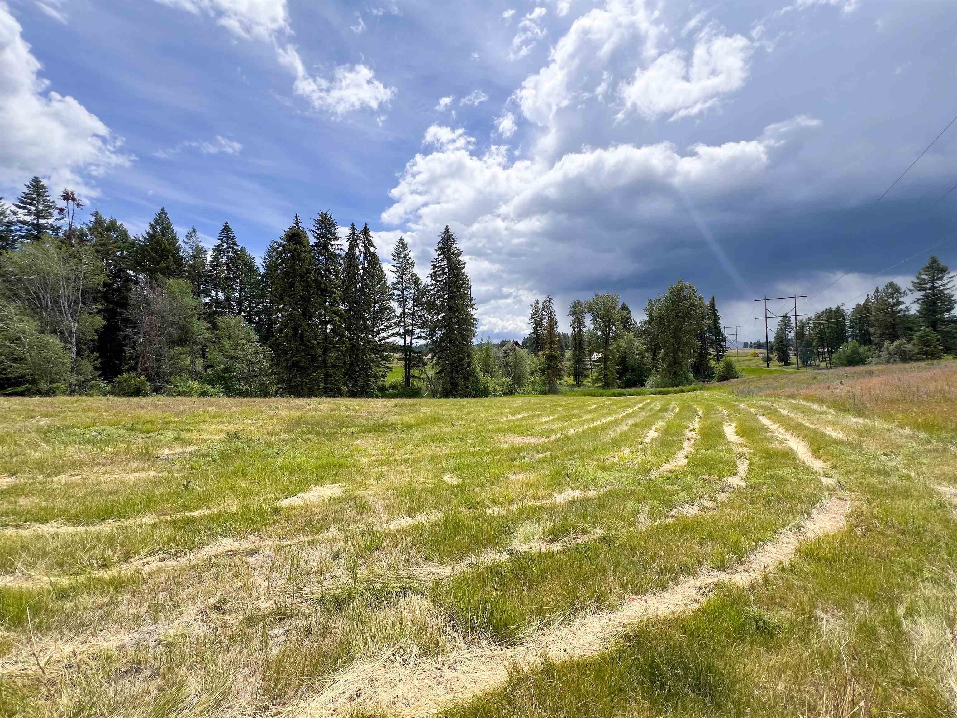 2082 Whitetail Way Colville, WA 99114 - Photo 4 of 18