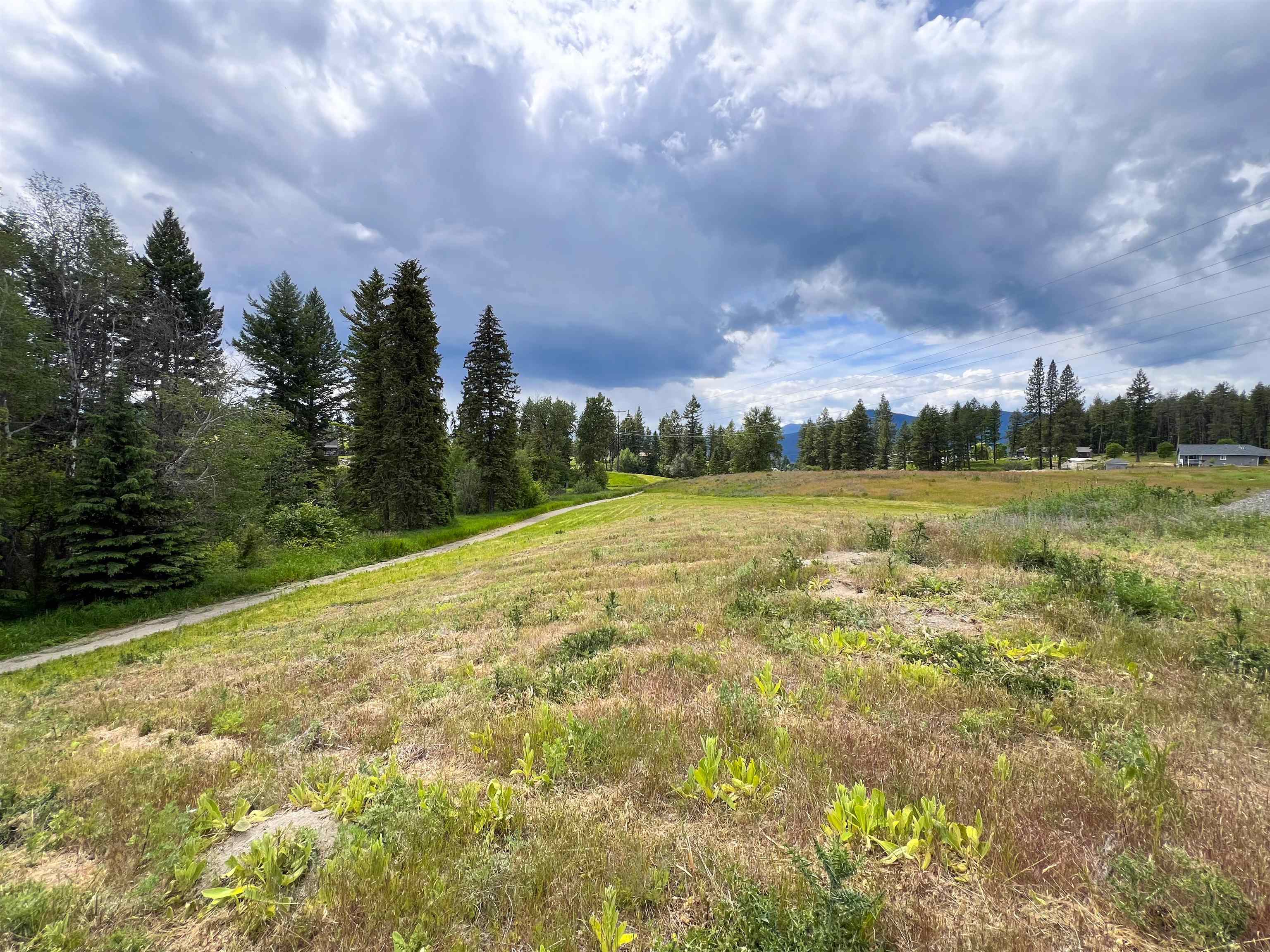 2082 Whitetail Way Colville, WA 99114 - Photo 10 of 18