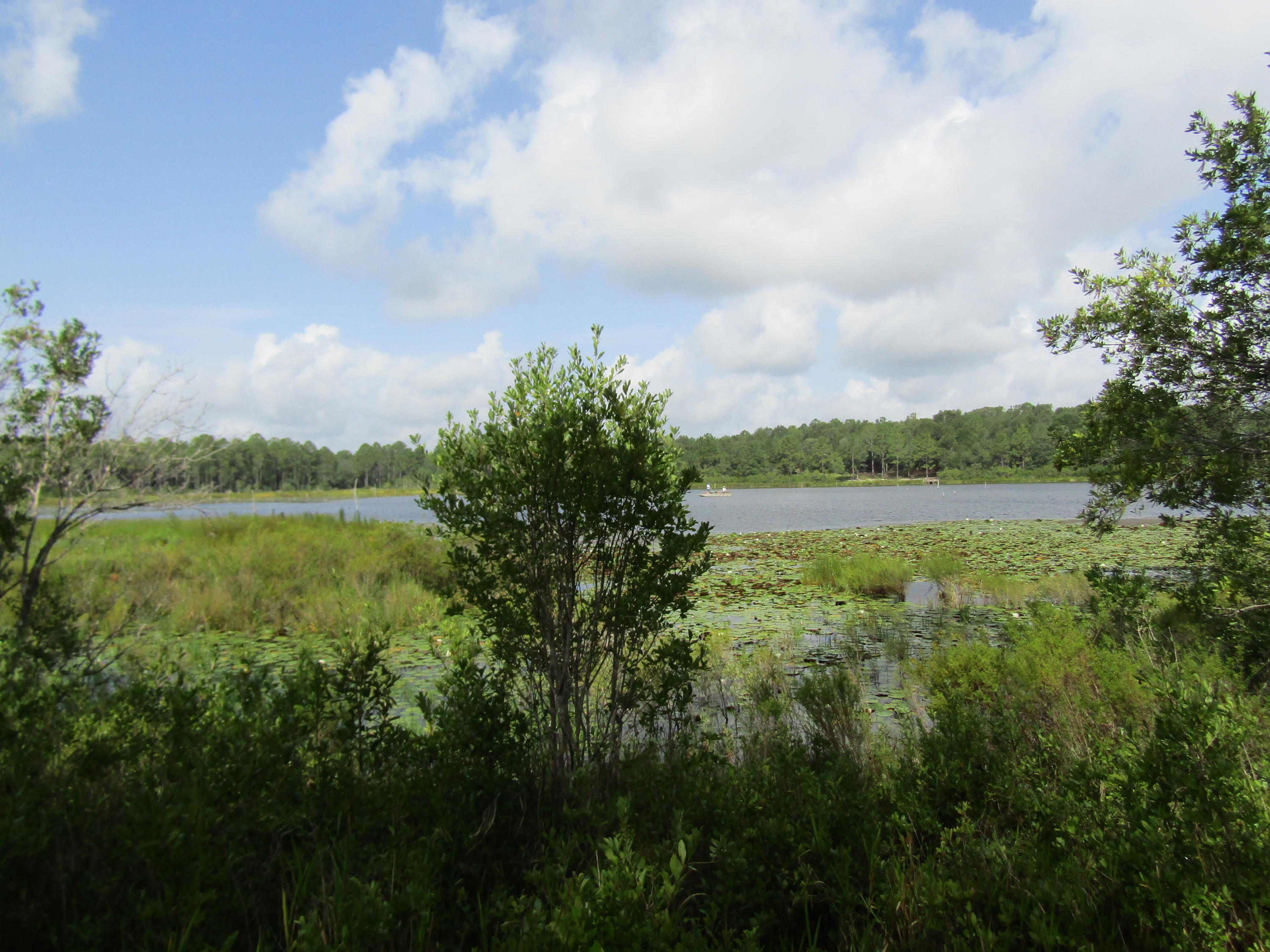 4.5-acres Martin Road DeFuniak Springs, FL 32433 - Photo 18 of 35 IMG_0527