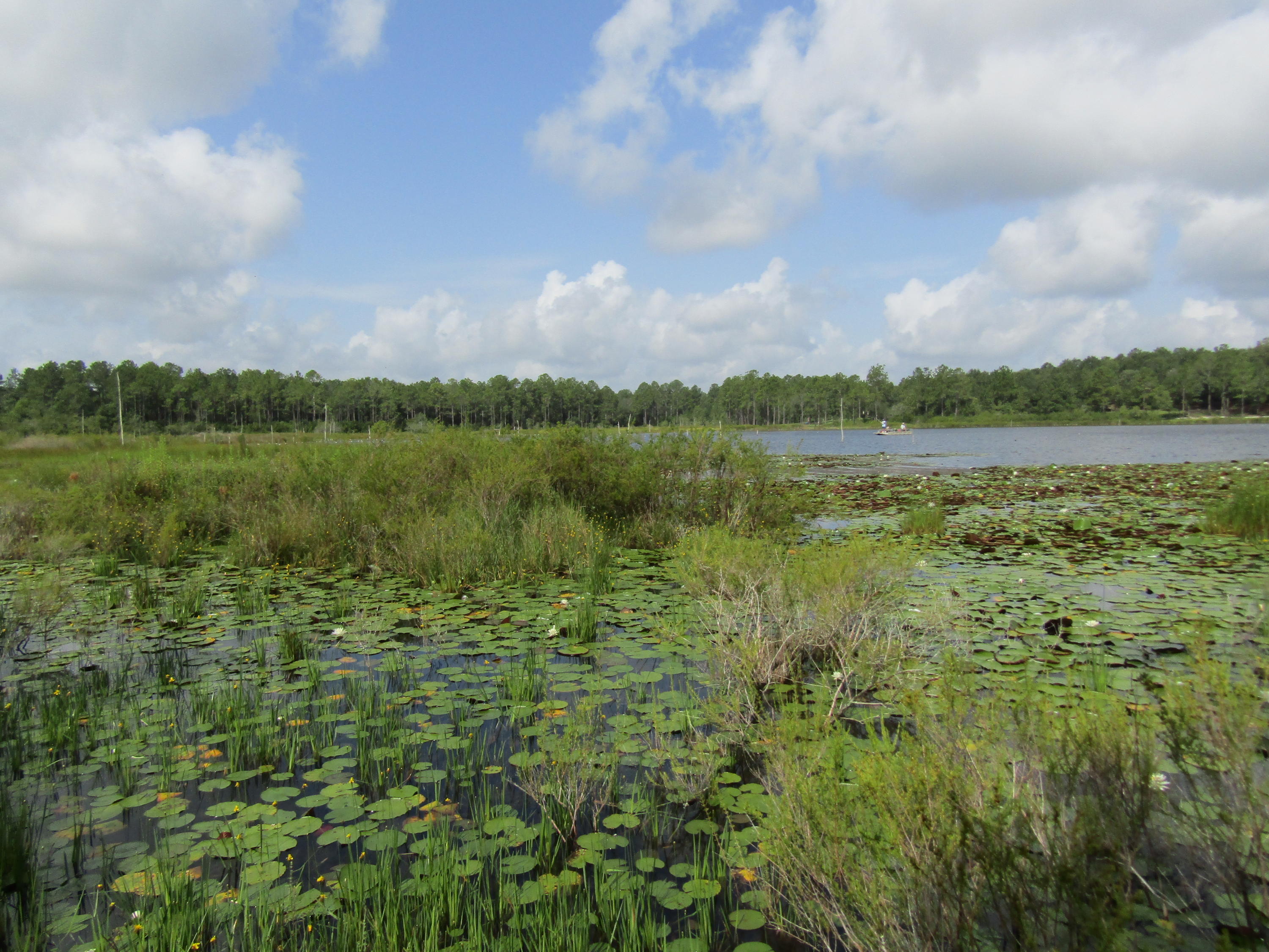 4.5-acres Martin Road DeFuniak Springs, FL 32433 - Photo 20 of 35 IMG_0530