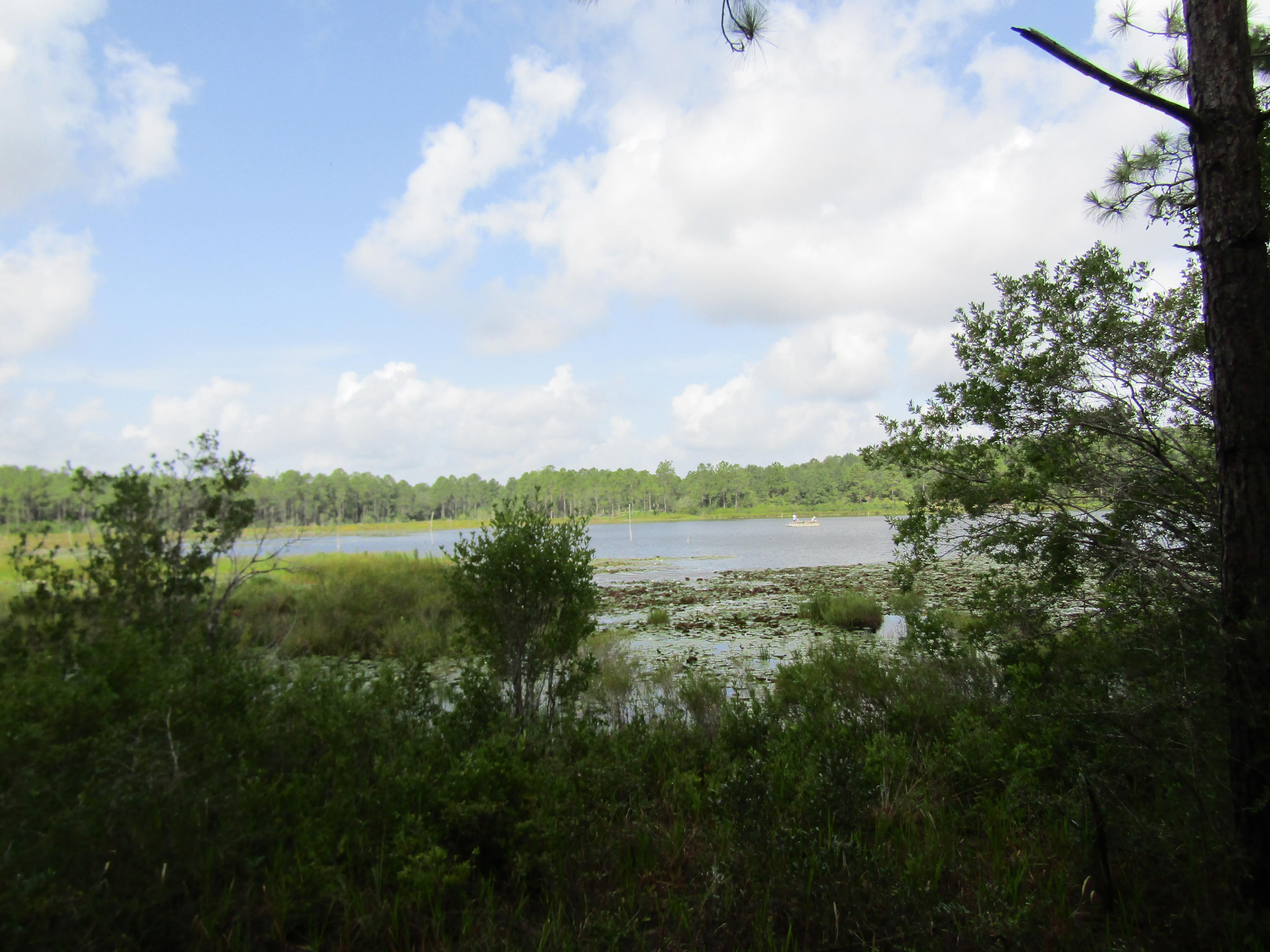 4.5-acres Martin Road DeFuniak Springs, FL 32433 - Photo 24 of 35 IMG_0526