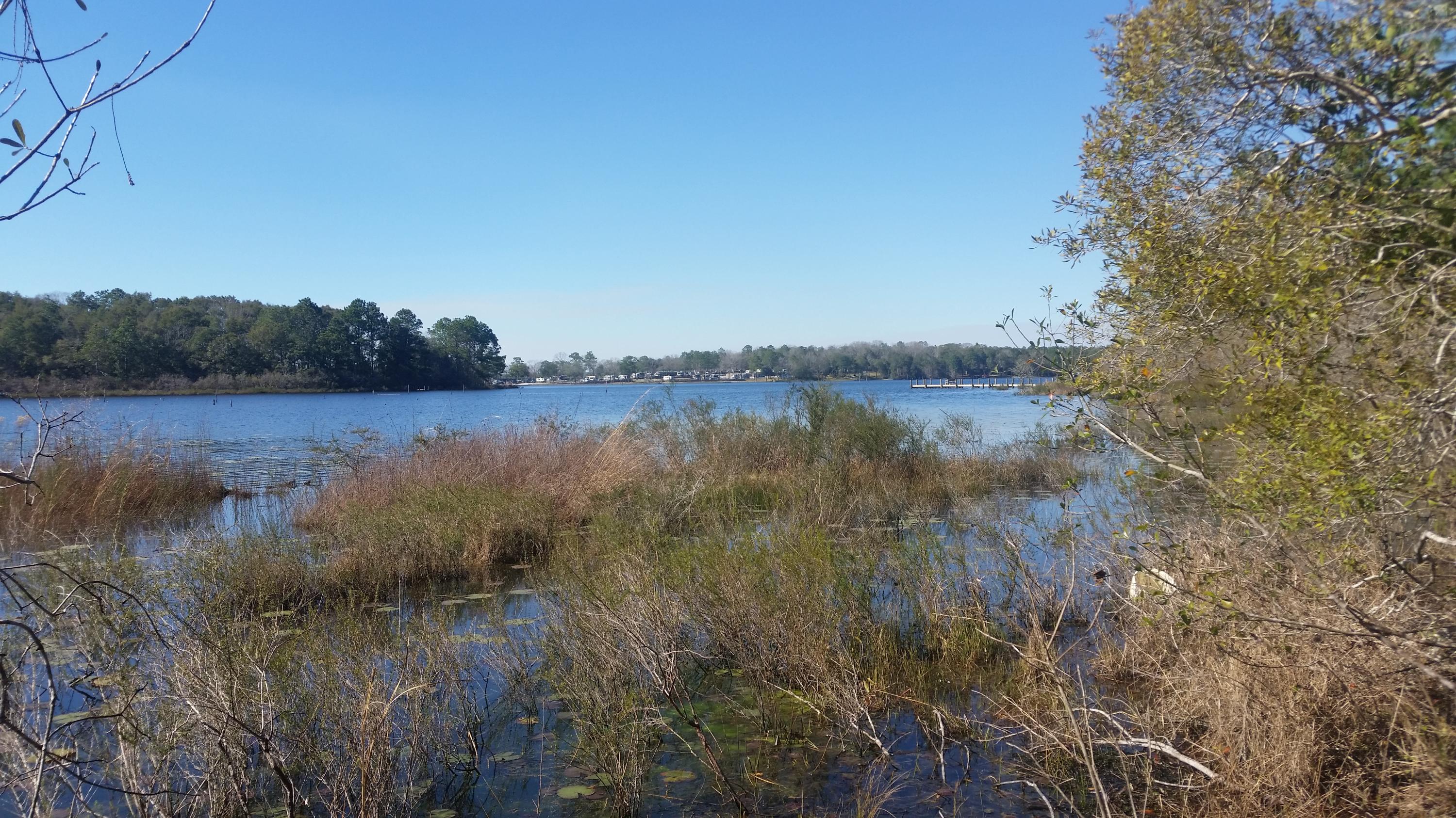 4.5-acres Martin Road DeFuniak Springs, FL 32433 - Photo 27 of 35 20210224_140856