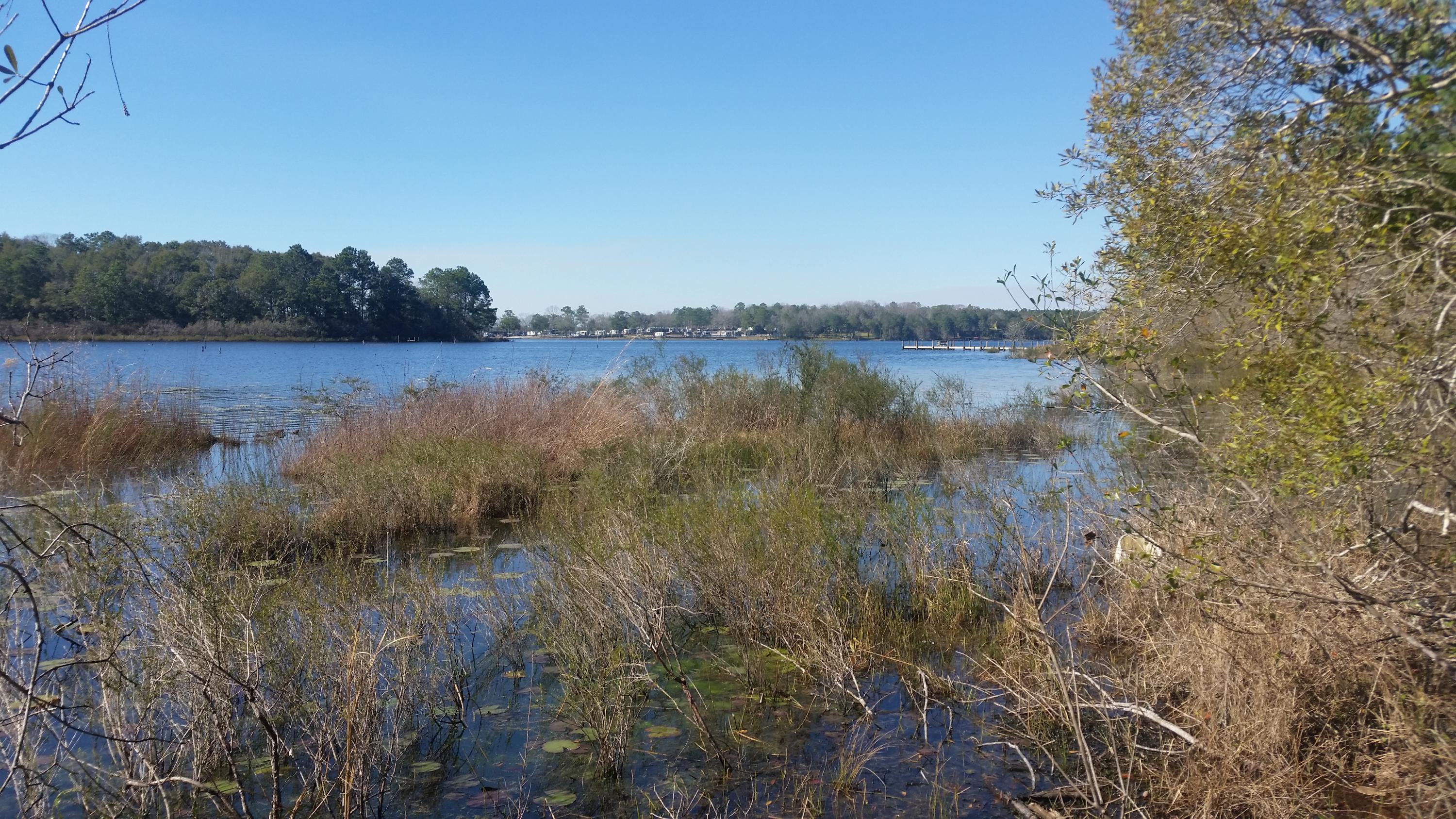 4.5-acres Martin Road DeFuniak Springs, FL 32433 - Photo 28 of 35 20210224_140855