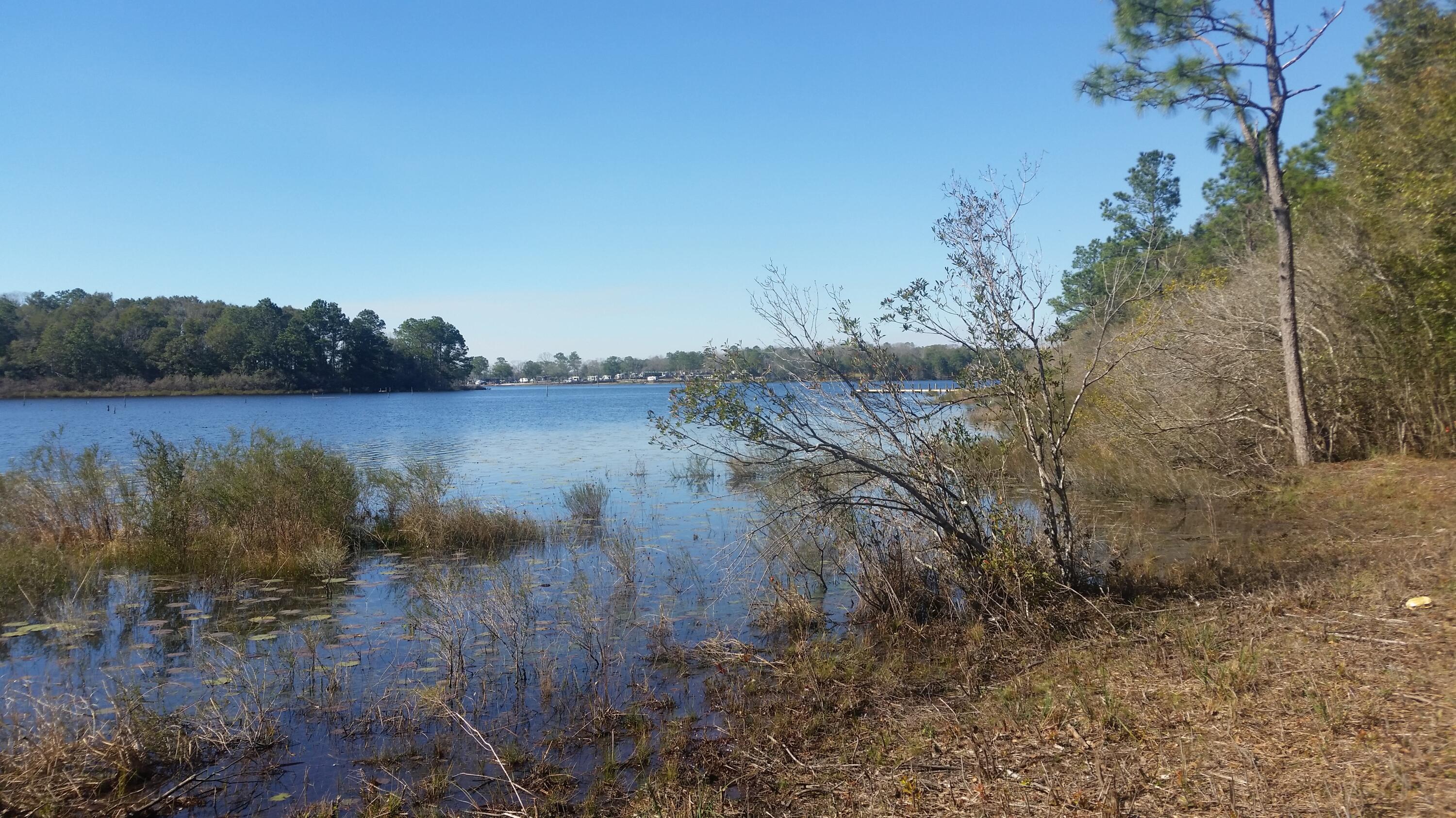 4.5-acres Martin Road DeFuniak Springs, FL 32433 - Photo 29 of 35 20210224_140839