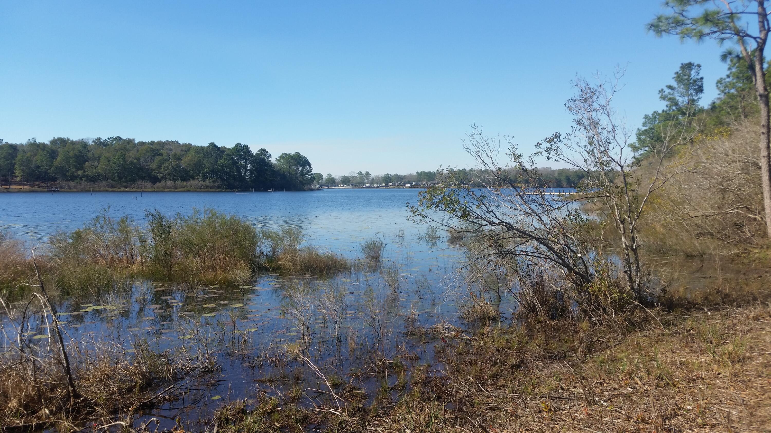 4.5-acres Martin Road DeFuniak Springs, FL 32433 - Photo 30 of 35 20210224_140837