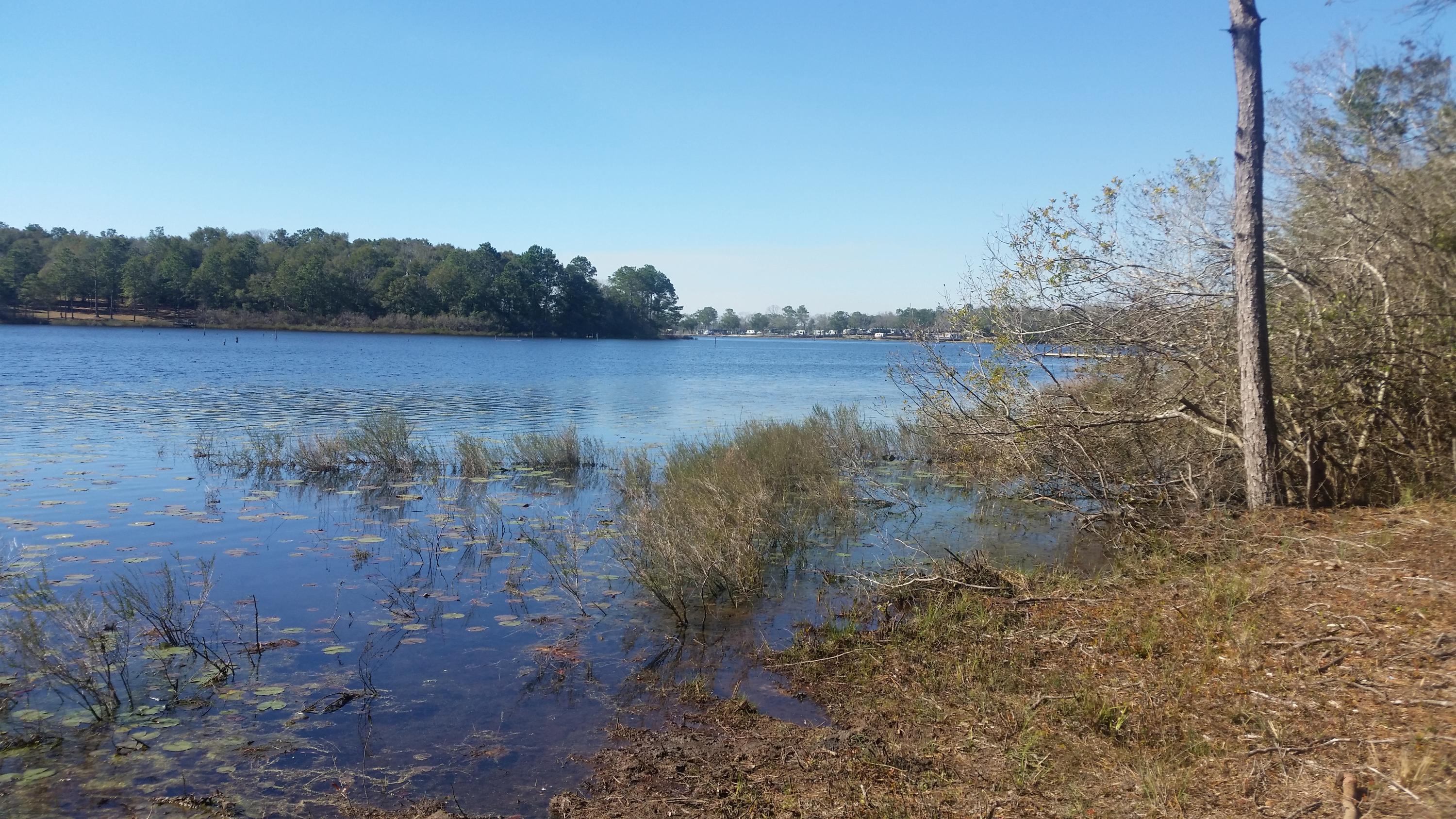 4.5-acres Martin Road DeFuniak Springs, FL 32433 - Photo 31 of 35 20210224_140820
