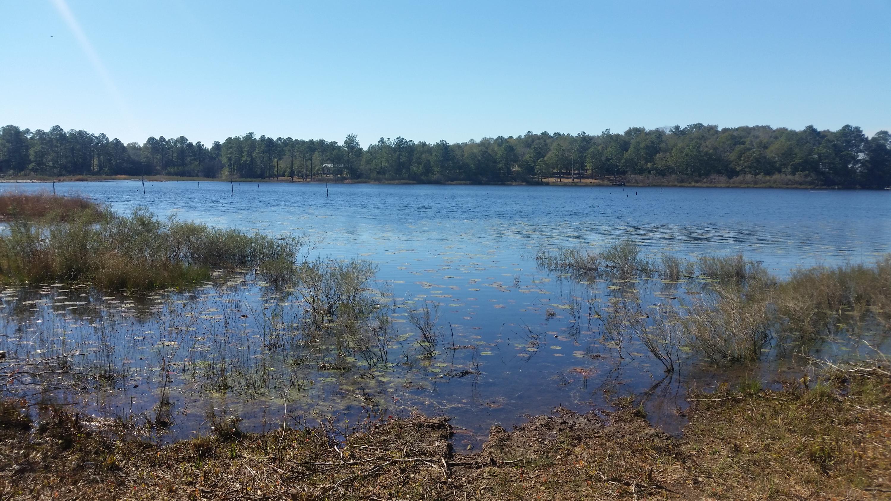 4.5-acres Martin Road DeFuniak Springs, FL 32433 - Photo 32 of 35 20210224_140815
