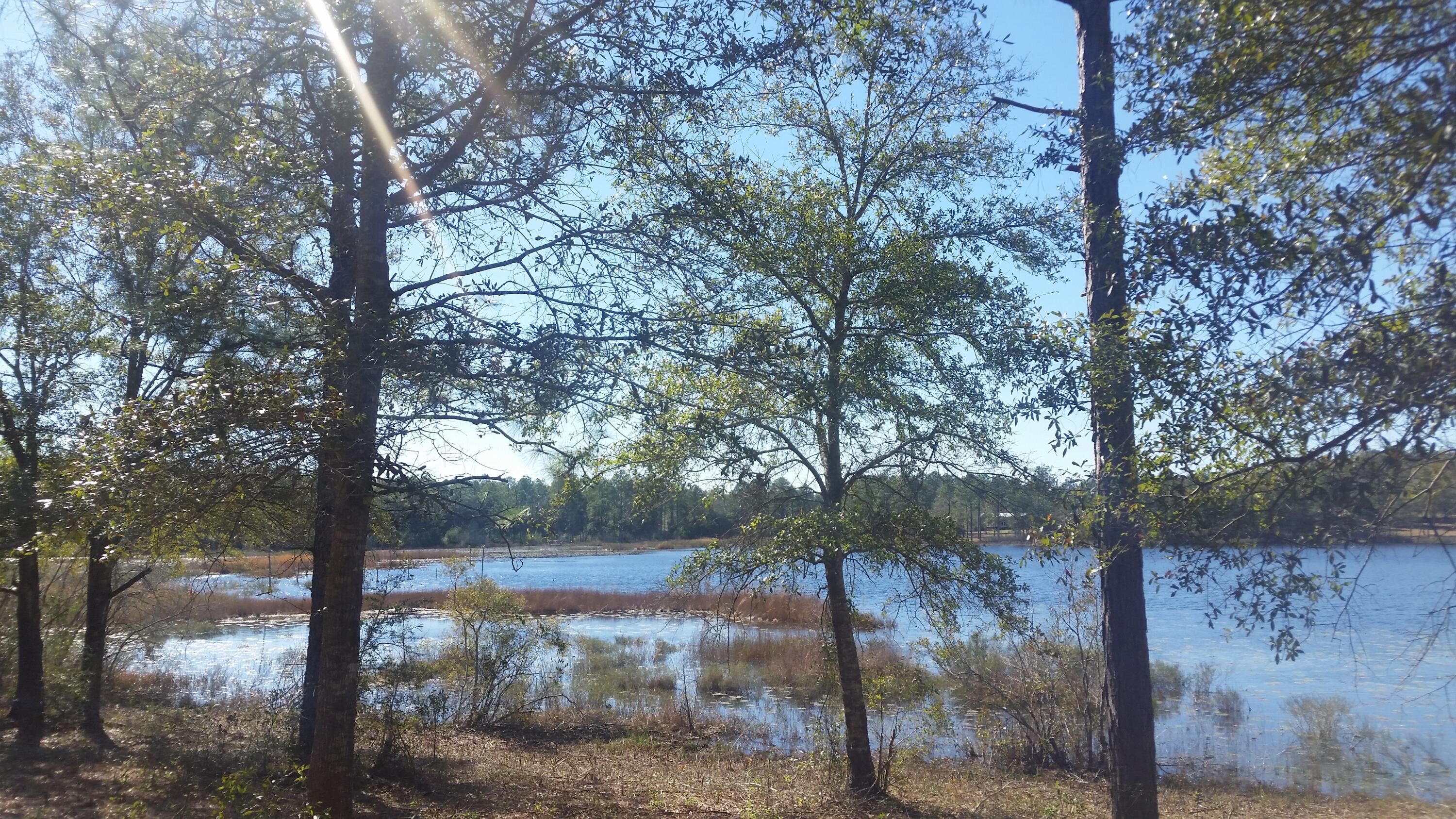 4.5-acres Martin Road DeFuniak Springs, FL 32433 - Photo 33 of 35 20210224_140800