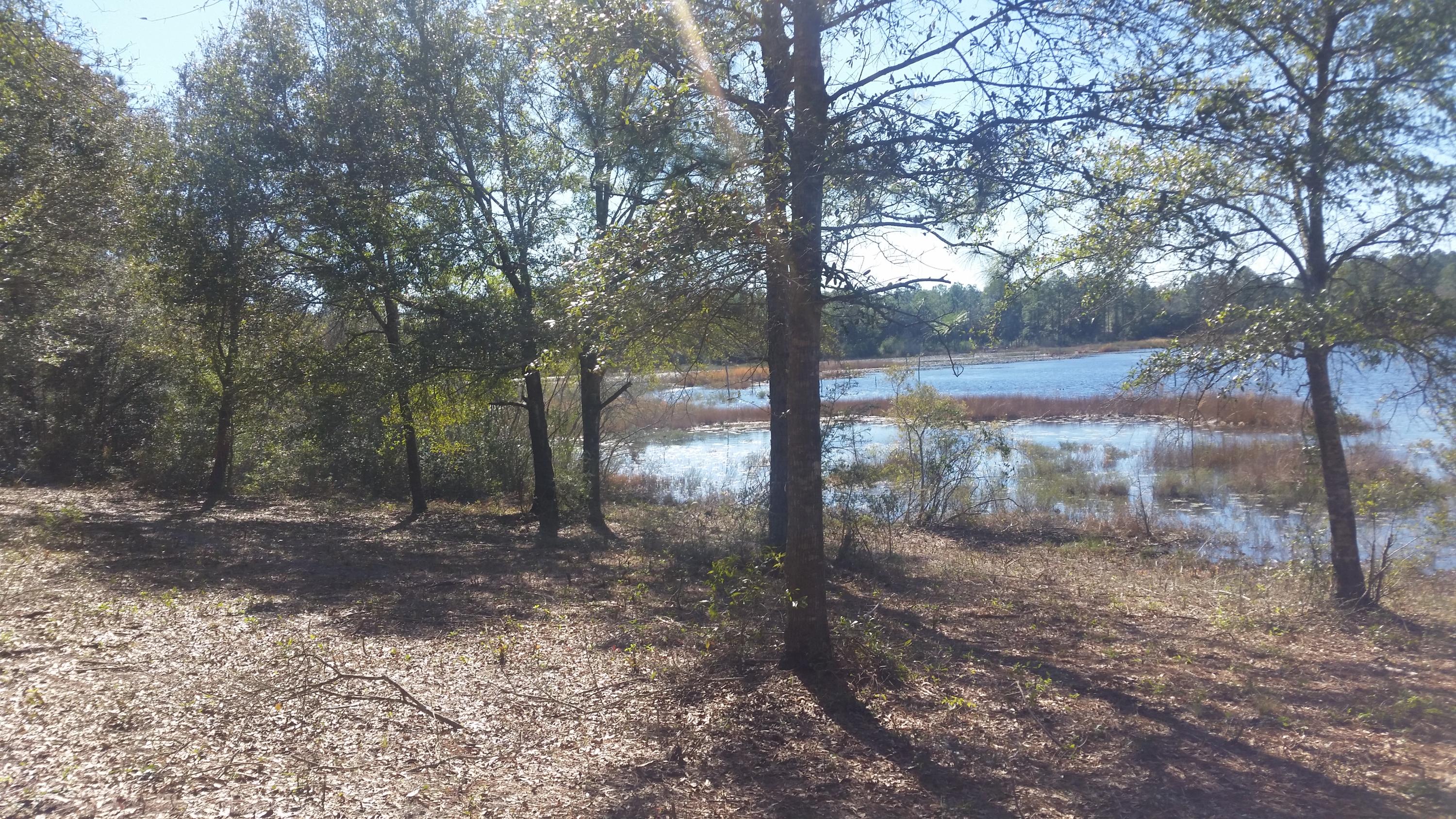 4.5-acres Martin Road DeFuniak Springs, FL 32433 - Photo 34 of 35 20210224_140759