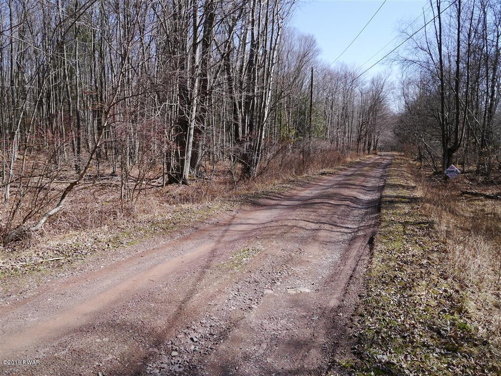 50 Poplar Road Pleasant Mount, PA 18453 - Photo 2 of 6