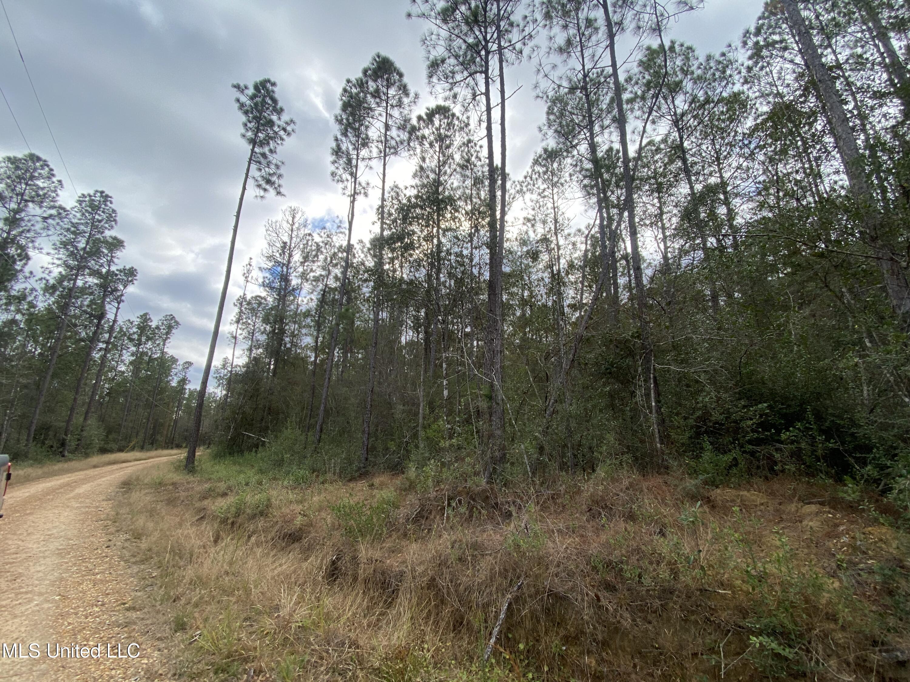 3600 Road 528 Kiln, MS 39556 - Photo 5 of 12 IMG_6481