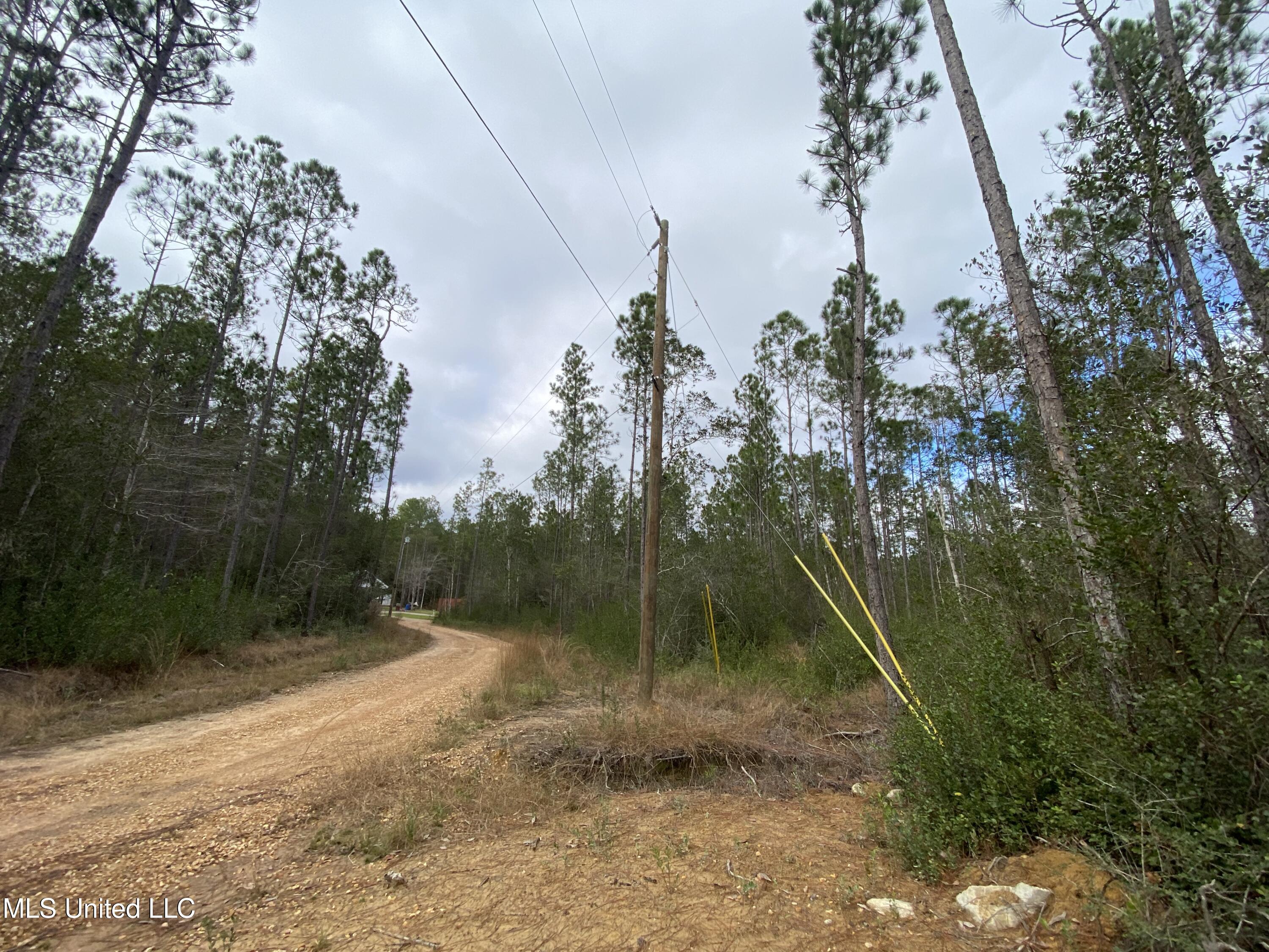 3600 Road 528 Kiln, MS 39556 - Photo 7 of 12 IMG_6478