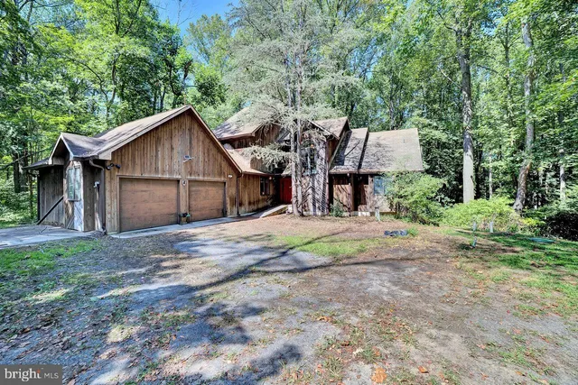 a view of a lush green forest