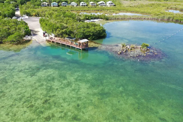 an aerial view of a house with a yard lake lake view and mountain view