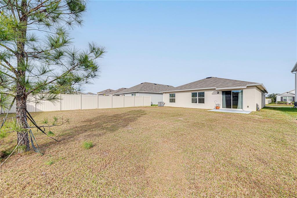 34026 Soaring Bamboo Path Wesley Chapel, FL 33543 - Photo 34 of 34 a house with a yard
