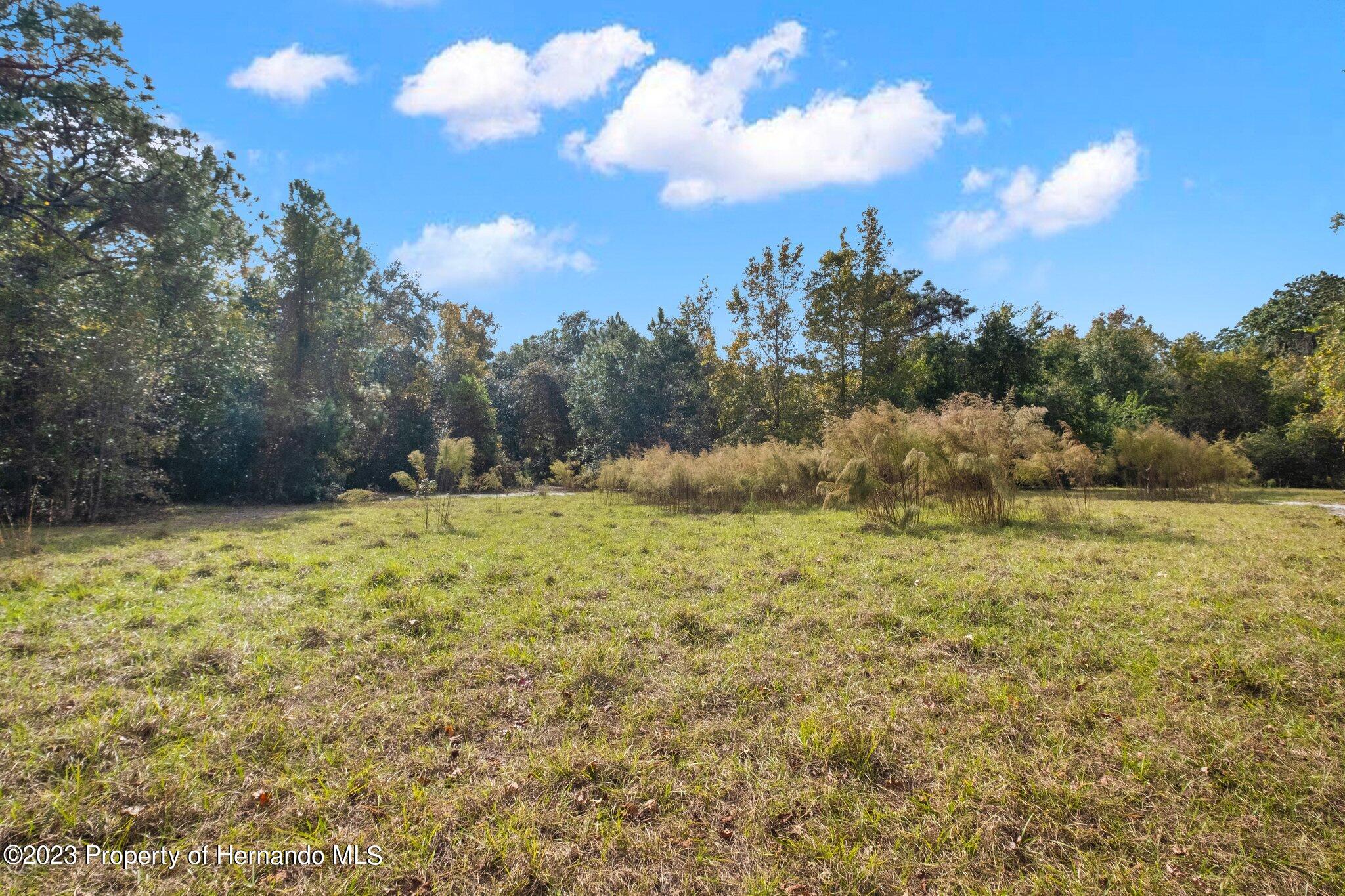 0 Algood Road Hernando Beach, FL 34607 - Photo 14 of 30 a view of a yard