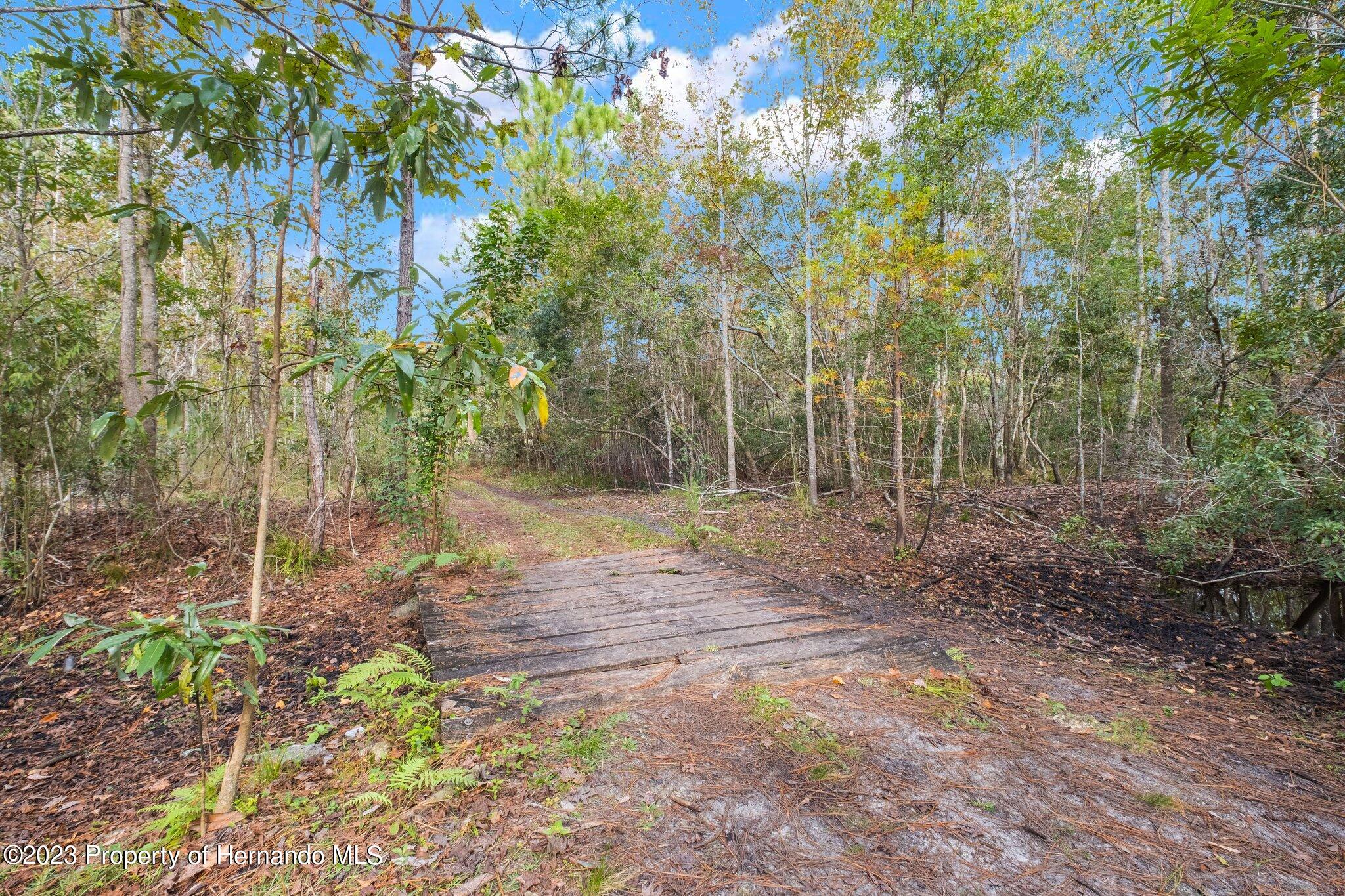0 Algood Road Hernando Beach, FL 34607 - Photo 29 of 30 a view of backyard with green space