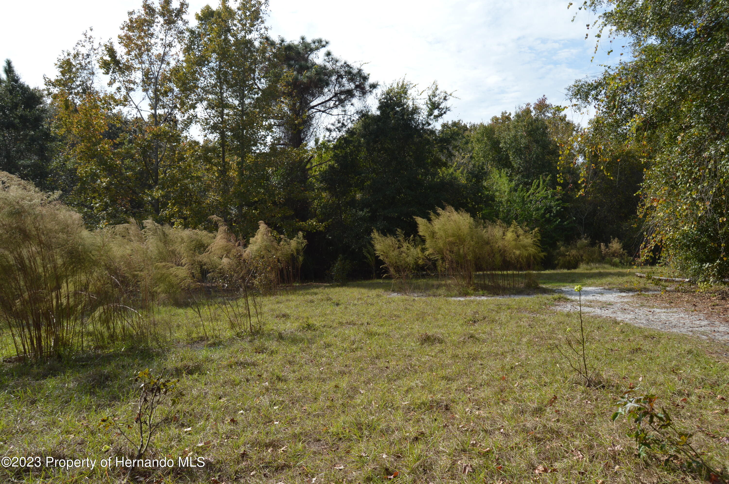 0 Algood Road Hernando Beach, FL 34607 - Photo 8 of 30 a view of a yard