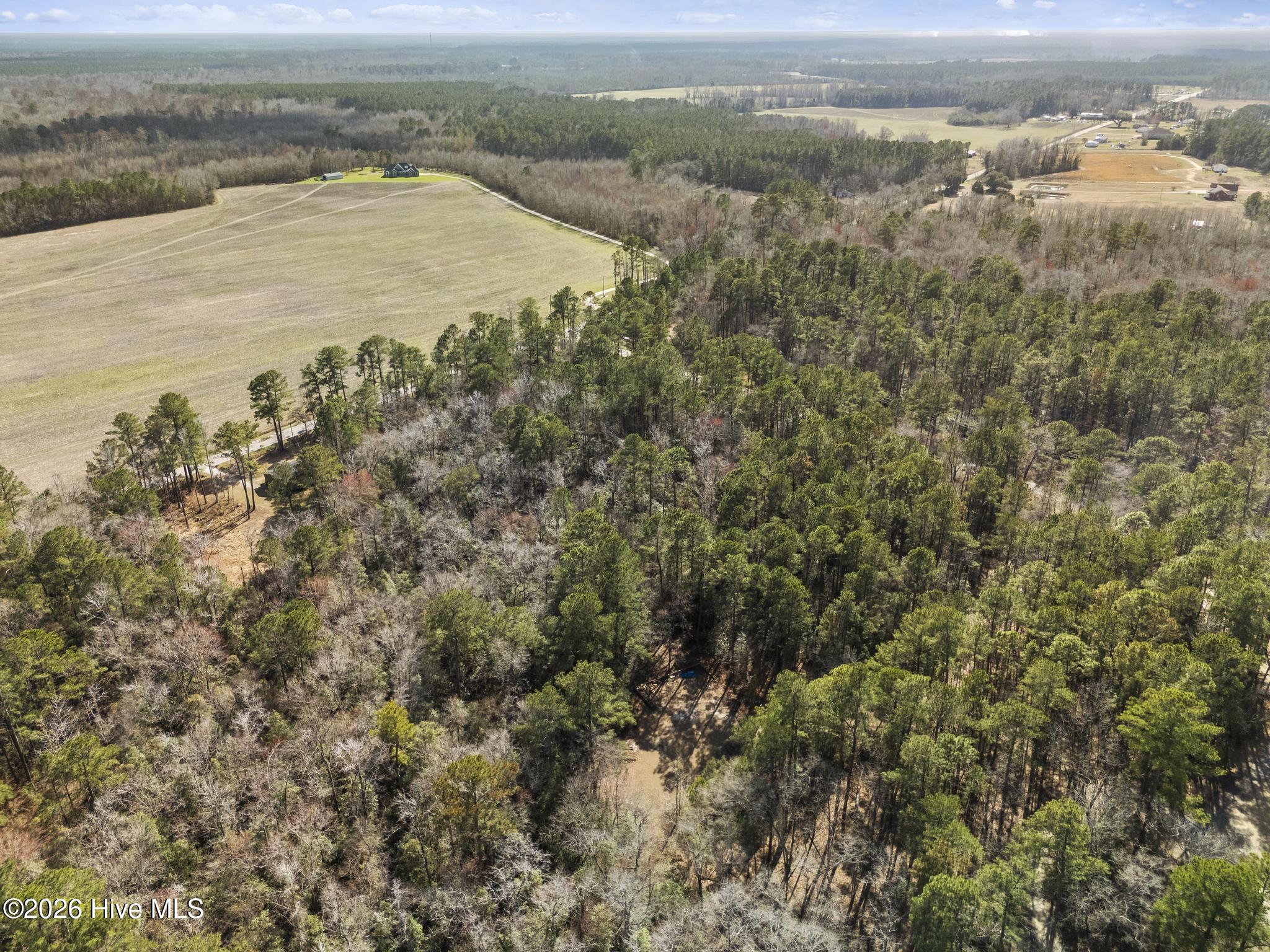 1 R Page (crabtree) Road Burgaw, NC 28425 - Photo 5 of 11 DJI_20260306141909_0317_D
