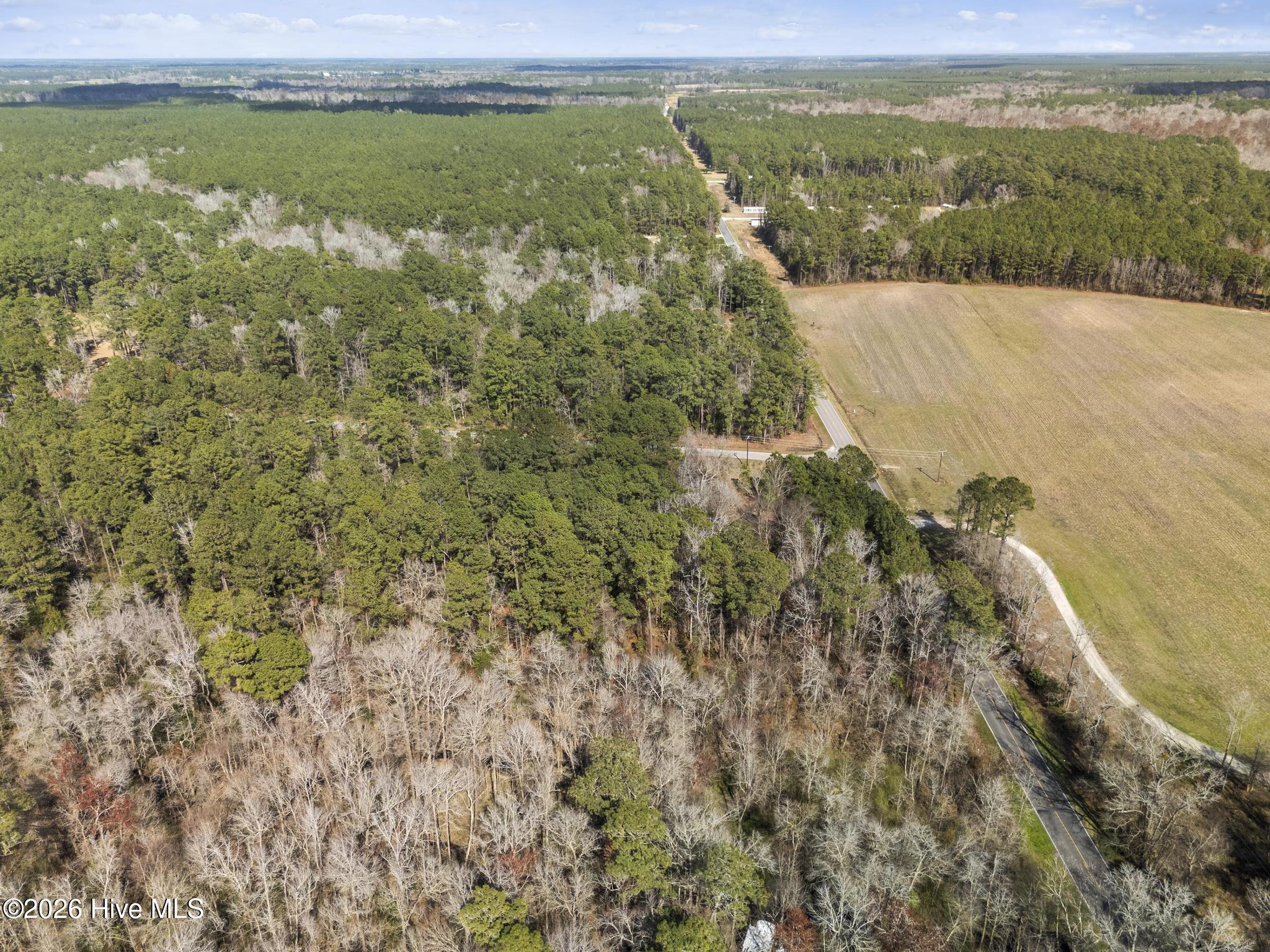 1 R Page (crabtree) Road Burgaw, NC 28425 - Photo 9 of 11 DJI_20260306141615_0282_D