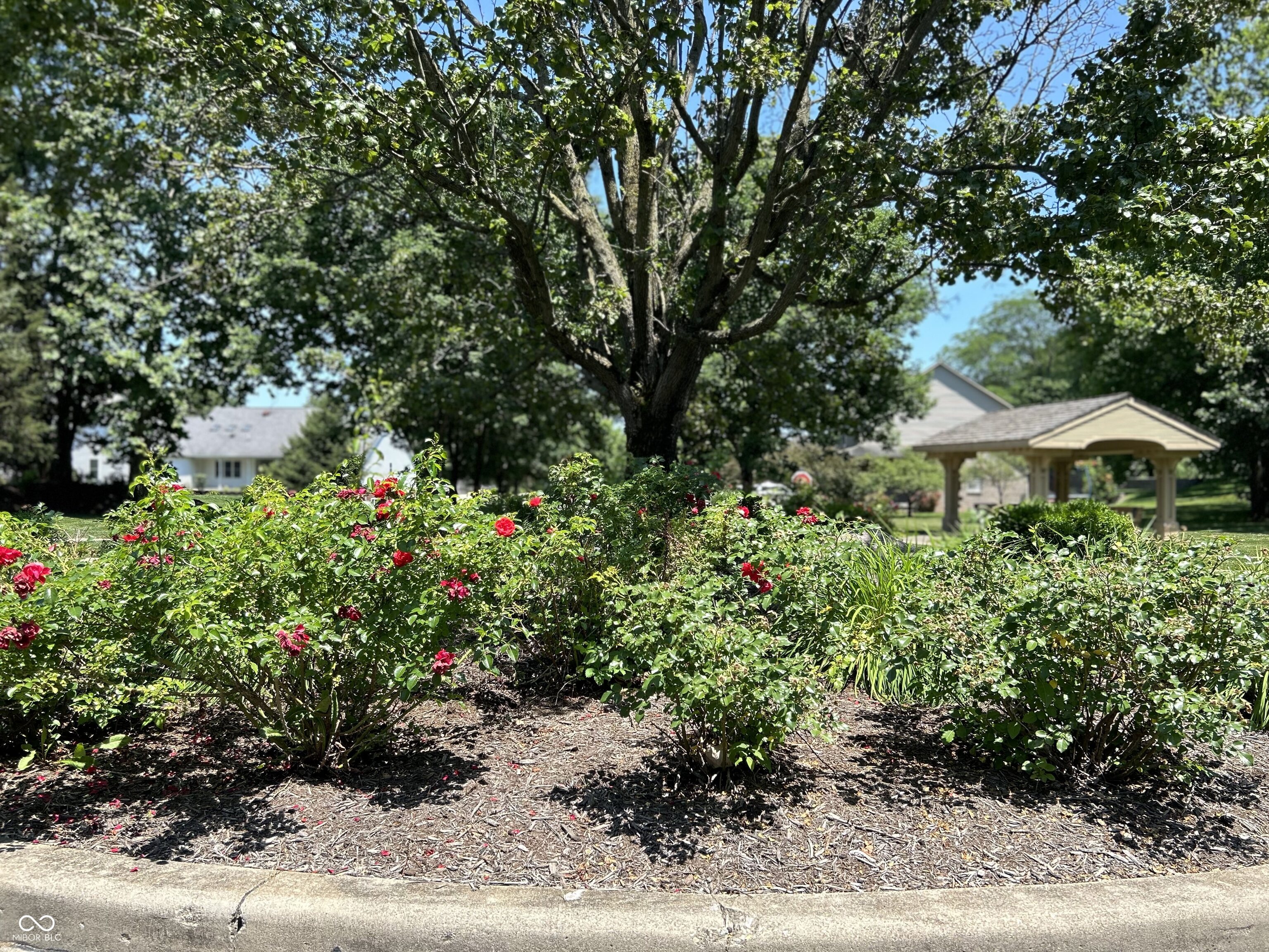 3045 Braeburn Columbus, IN 47201 - Photo 7 of 9