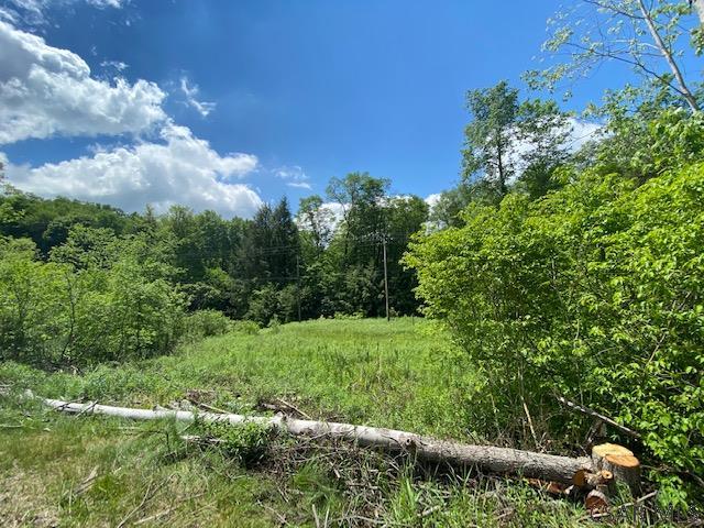 Vacant Land On Iron Bridge Road Nicktown, PA 15762 - Photo 12 of 12 Gallery Image 12