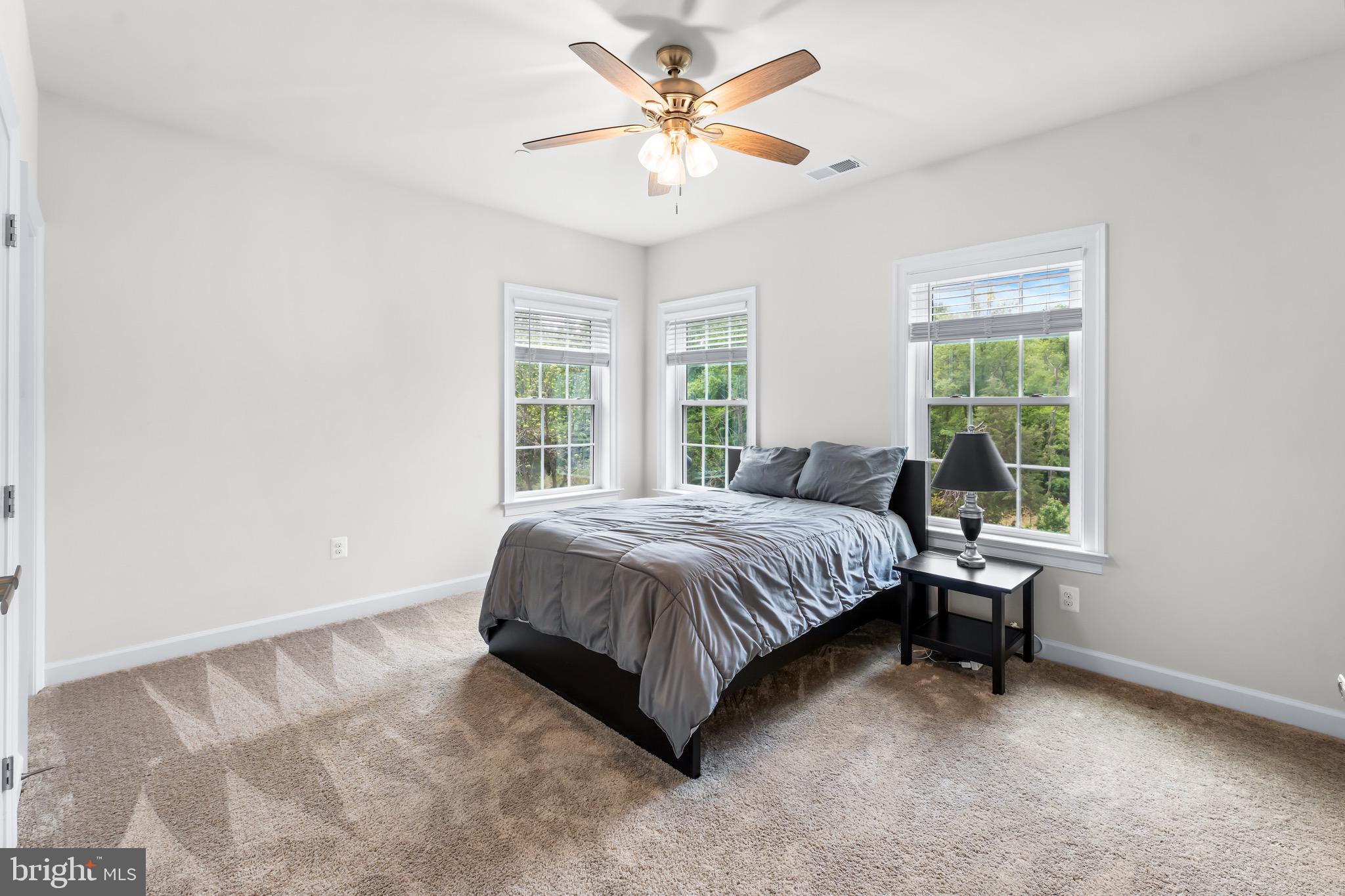 12201 Mayapple Trail Sykesville, MD 21784 - Photo 47 of 75