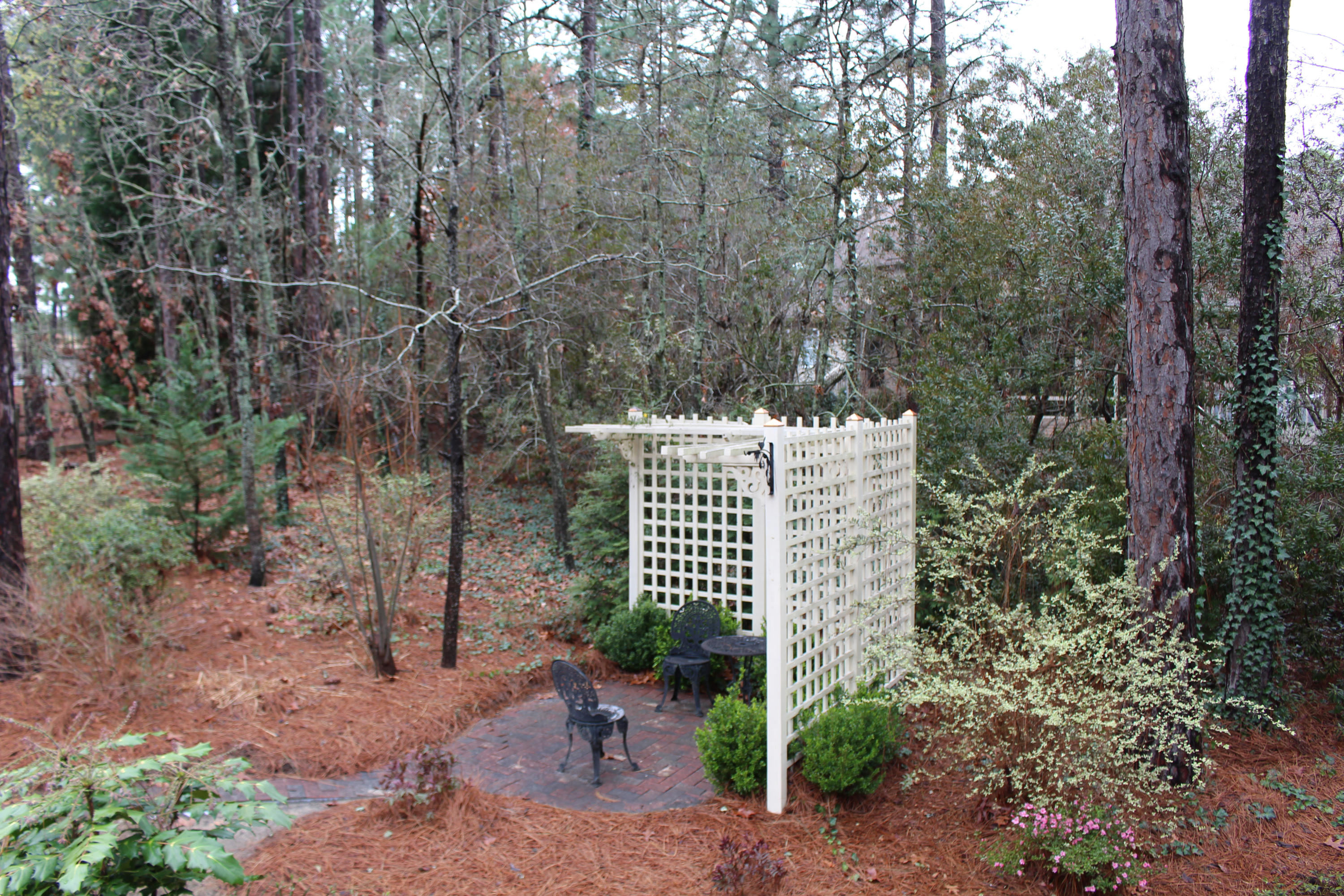 35 McNish Road Southern Pines, NC 28387 - Photo 22 of 28 Back Yard